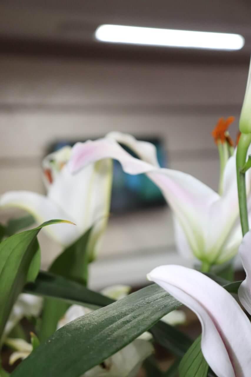 Фото Атмосфера