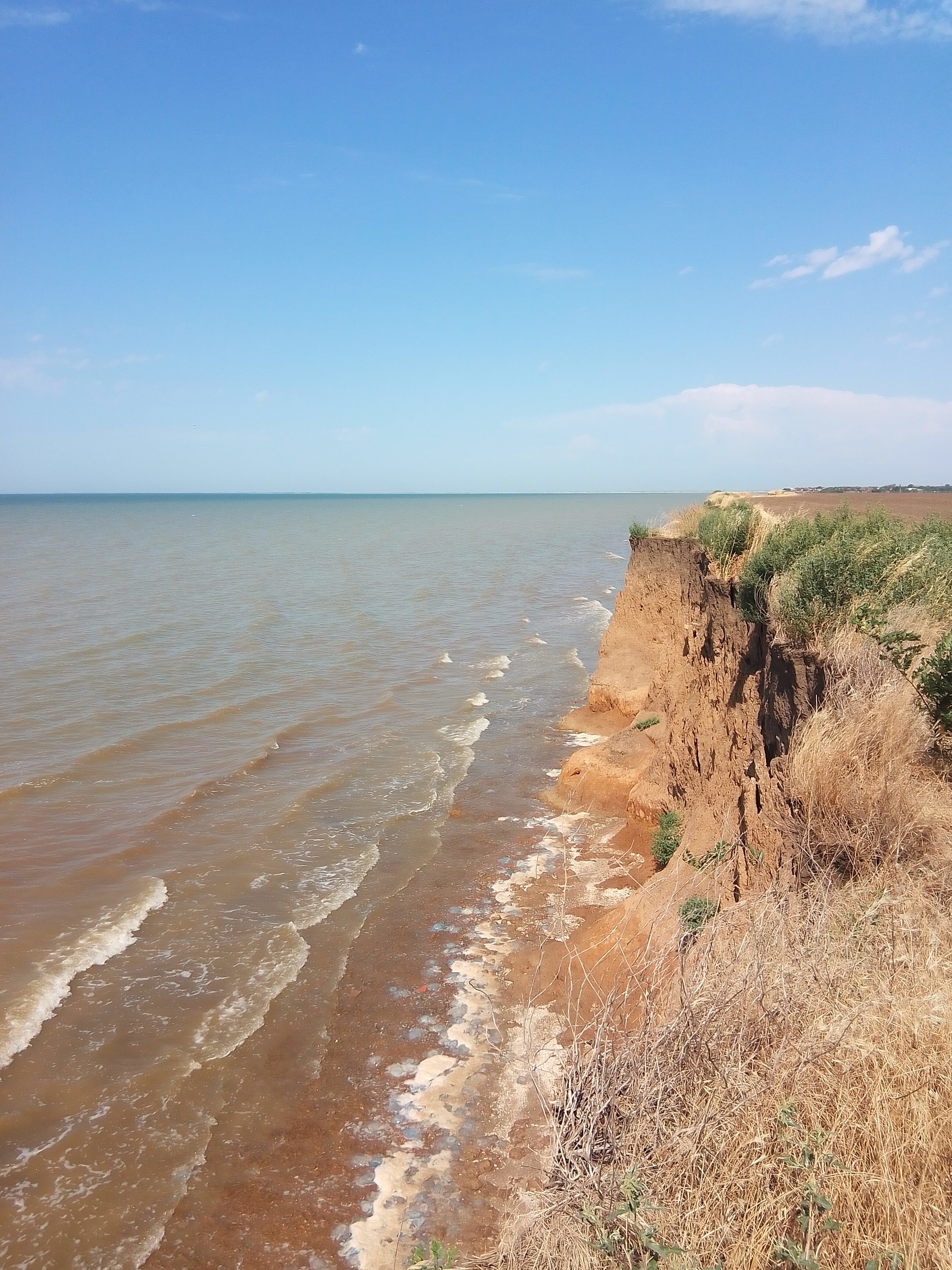 Фото 38 Попугаев