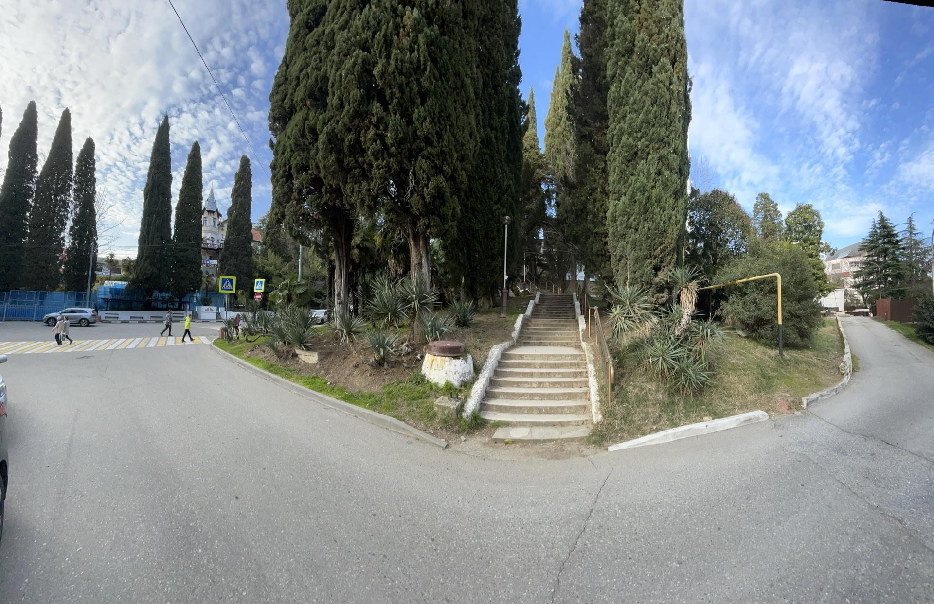 Фото Светлана Плюс