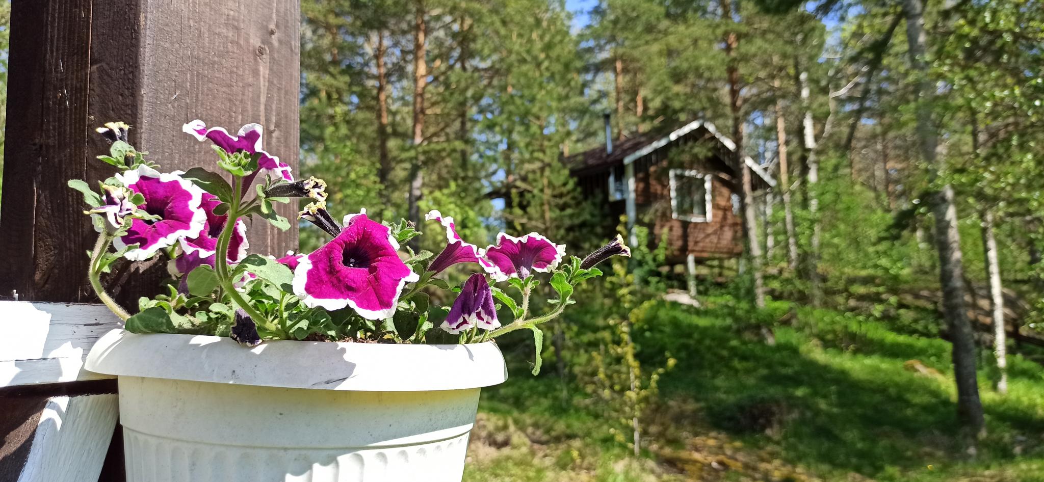 Фото Домик в Харвиа