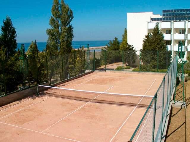 Фото Альбатрос