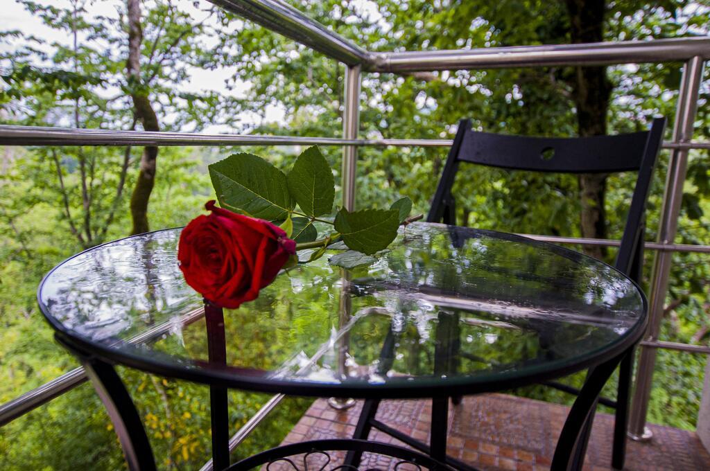 Фото Таун парк