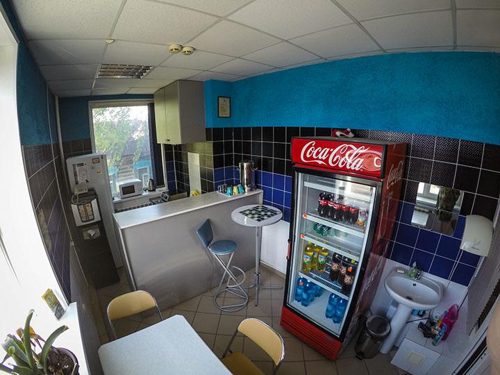 Фото Медведь