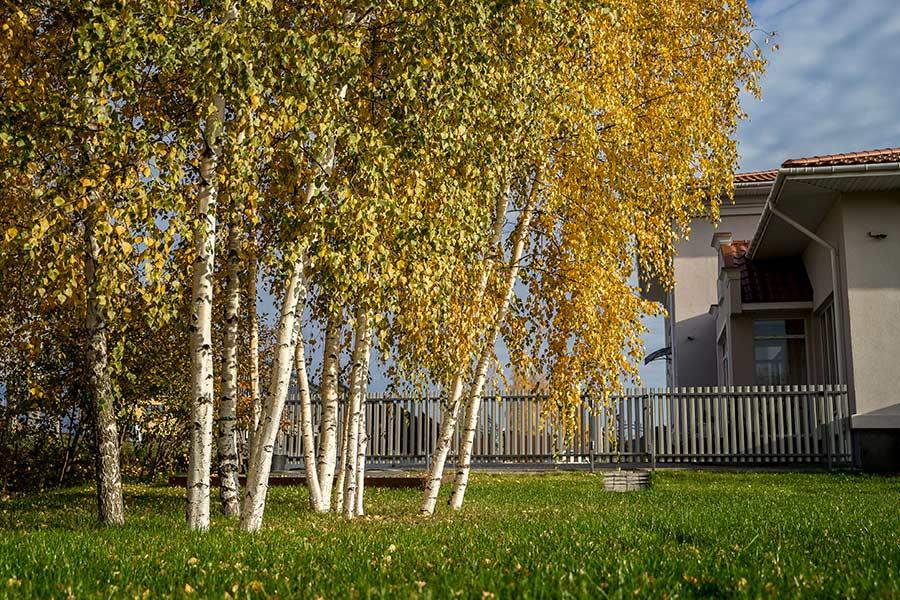 Фото Отель Петербург