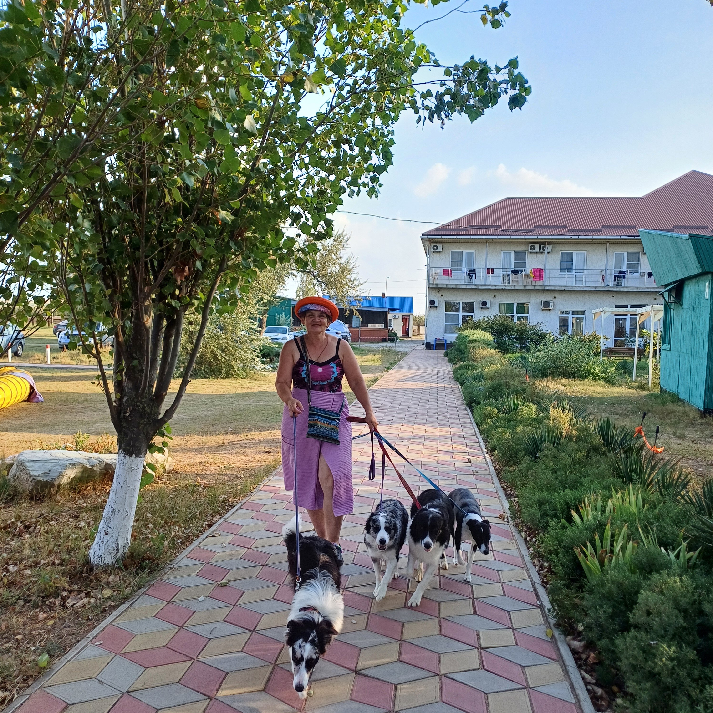 Фото Форвард