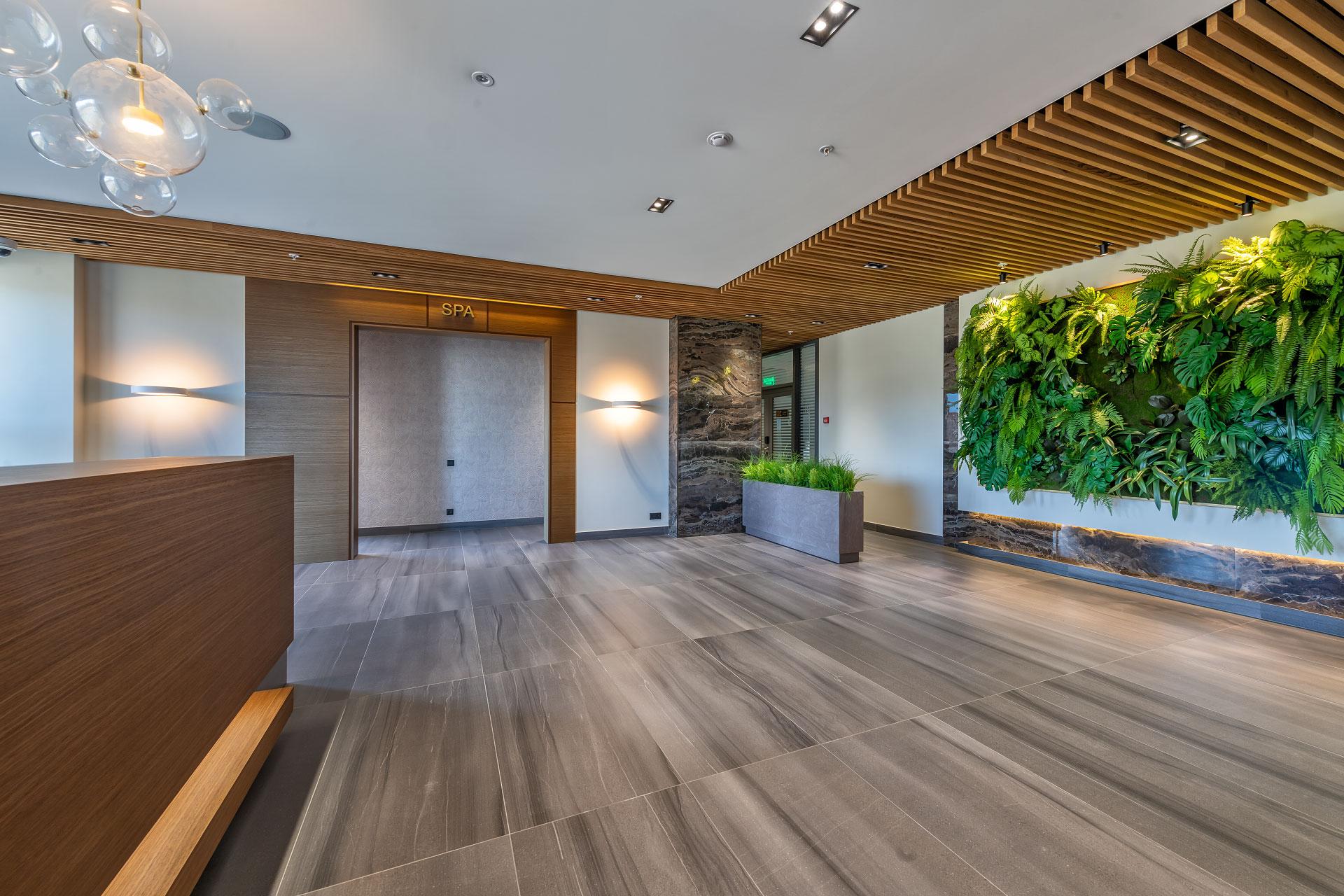 Фото Соколёна