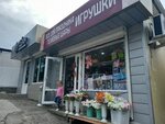 Игрушки (Bytkha Microdistrict, Voroshilovskaya ulitsa, 1/1), toys and games