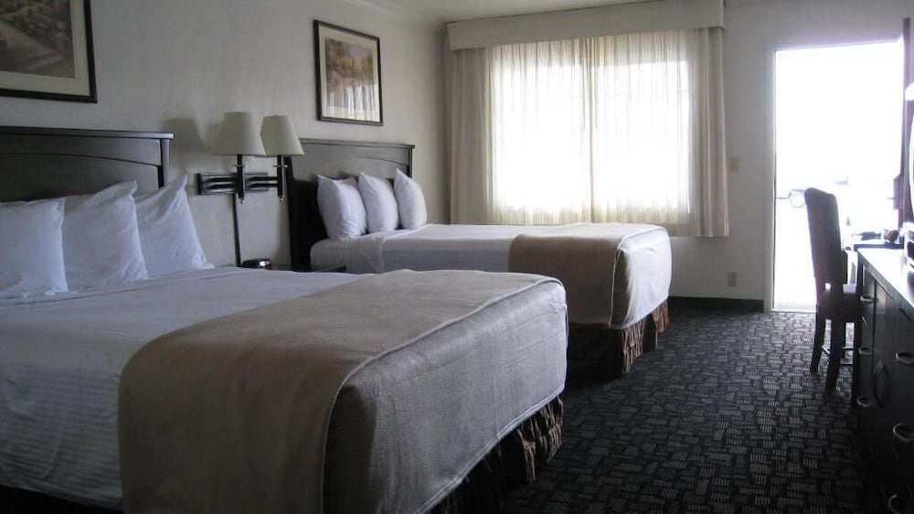 Фото Discovery Inn