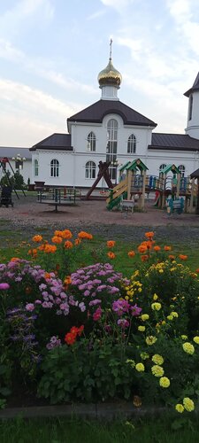 Tarım firmaları Tatiana, Saint‑Petersburg ve Leningradskaya oblastı, foto