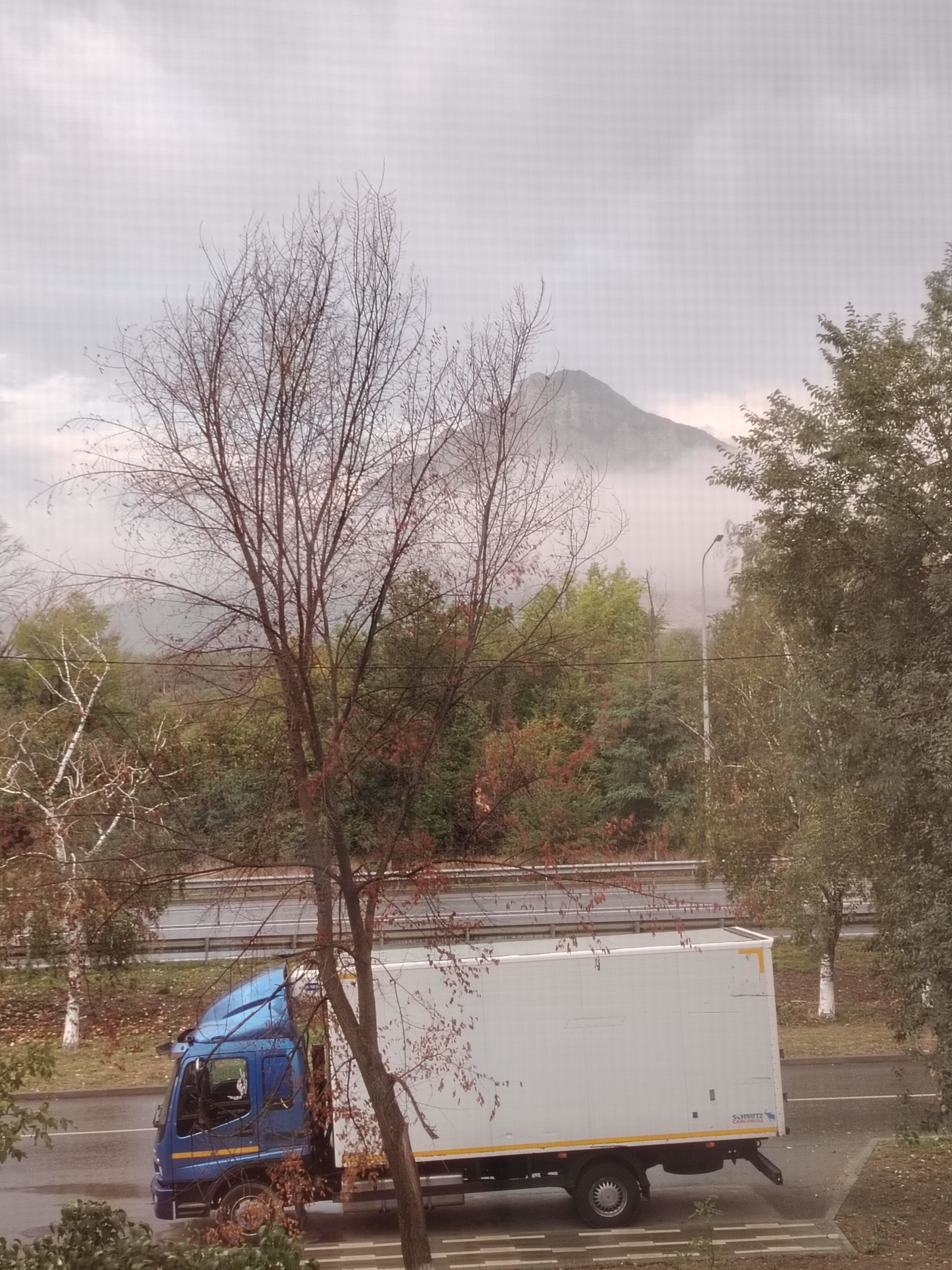 Фото Астэри