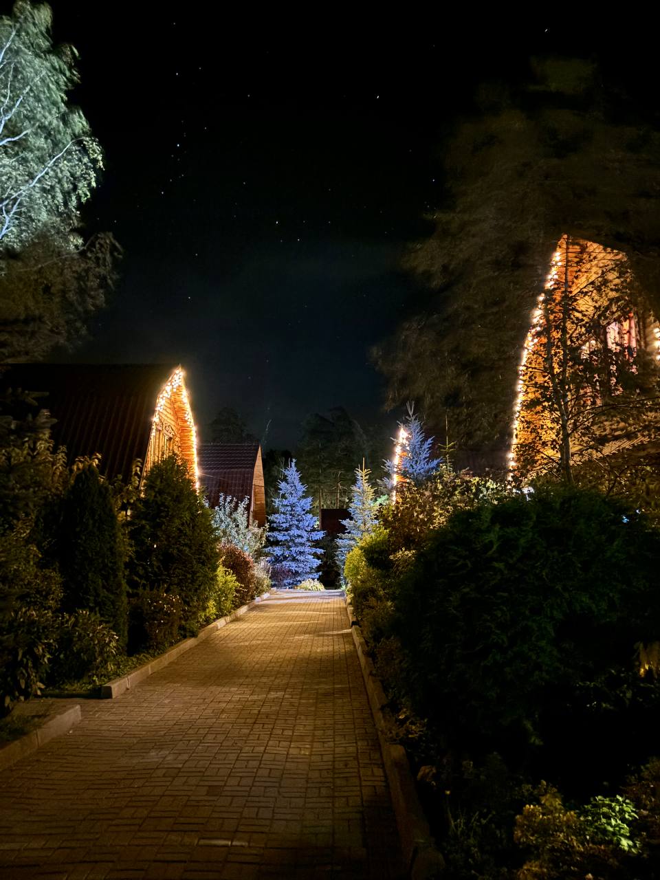 Фото Деревенька Аракуль