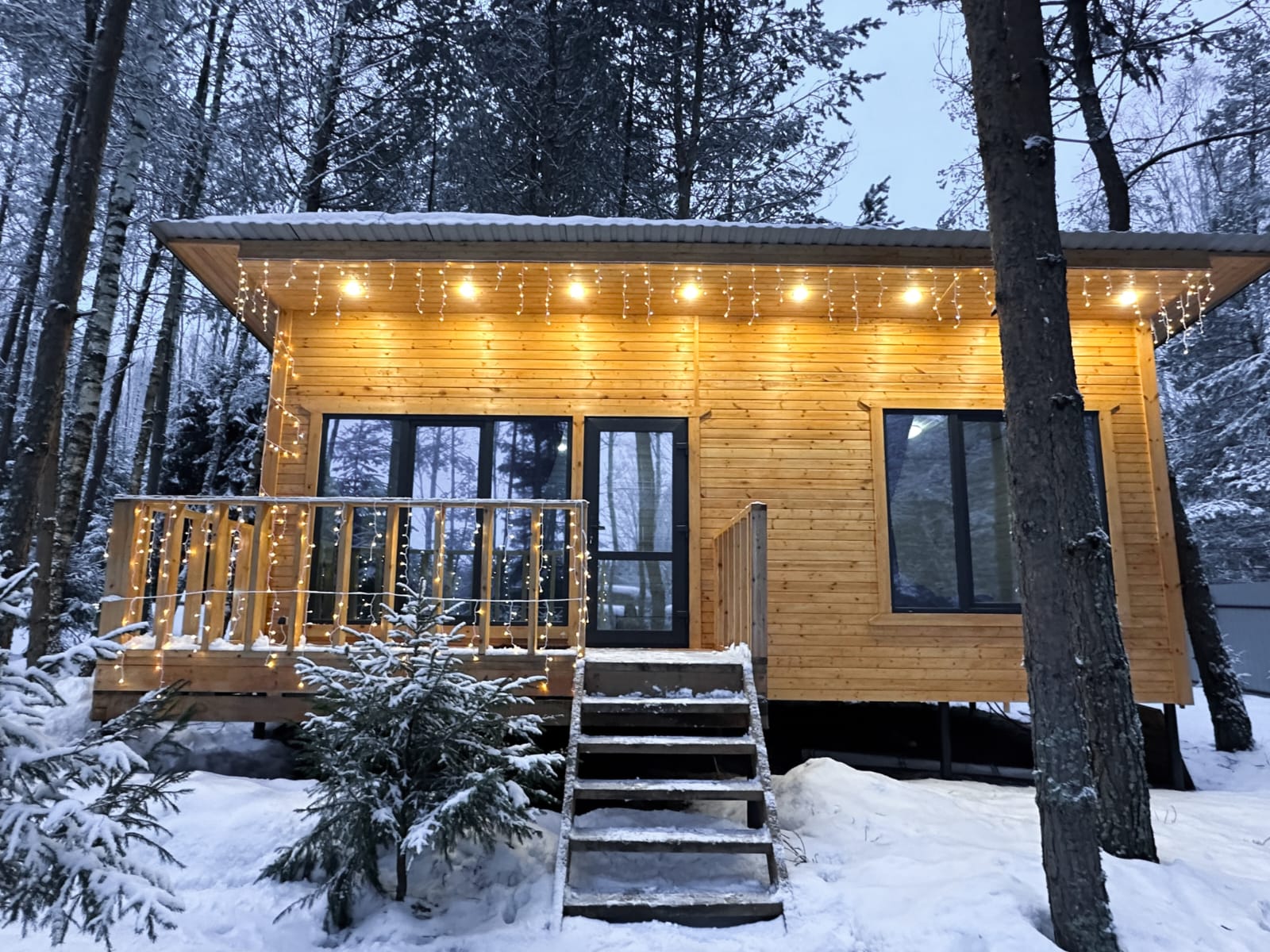 Фото Лесная сказка