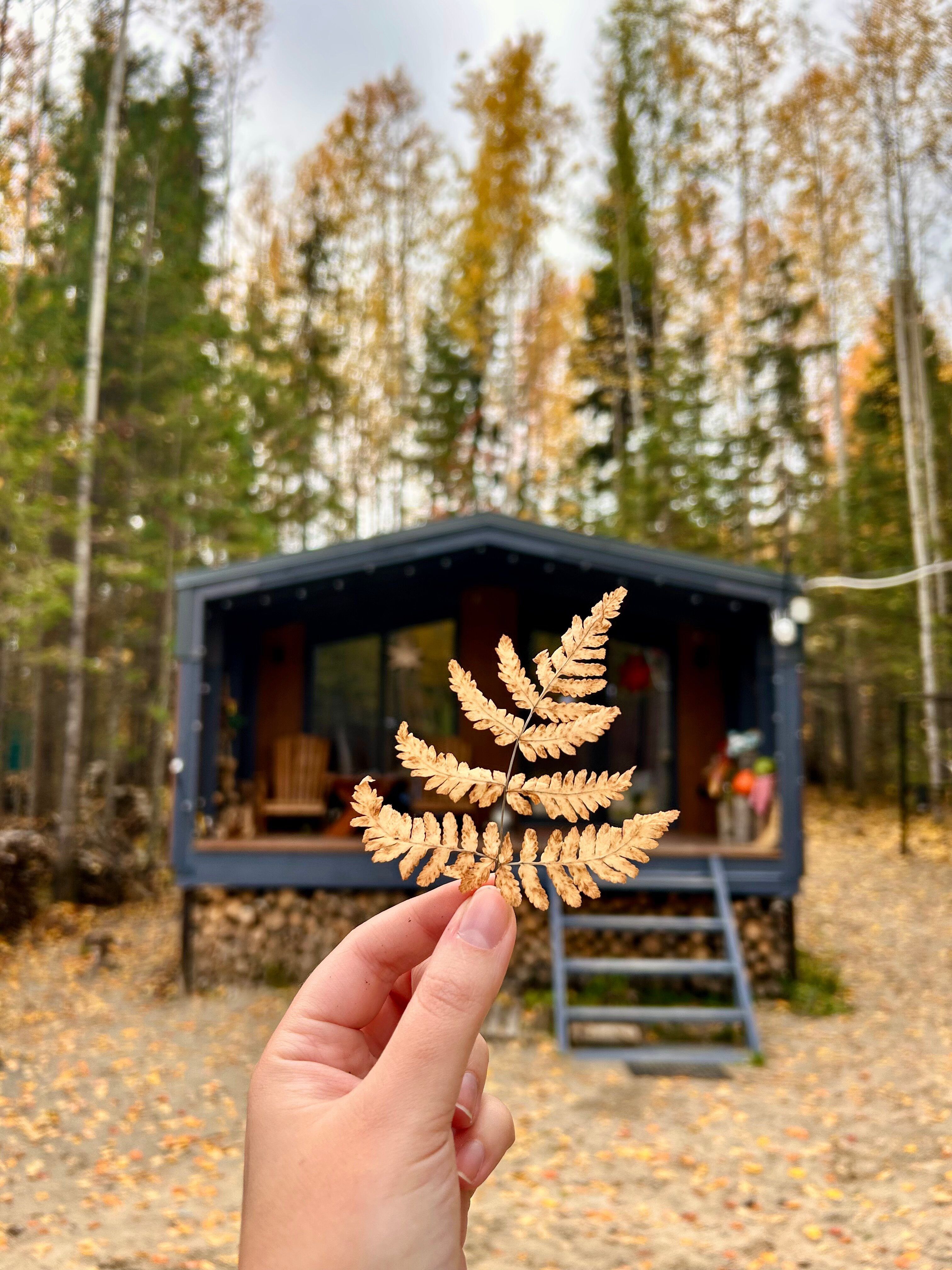 Фото Мама, я на даче