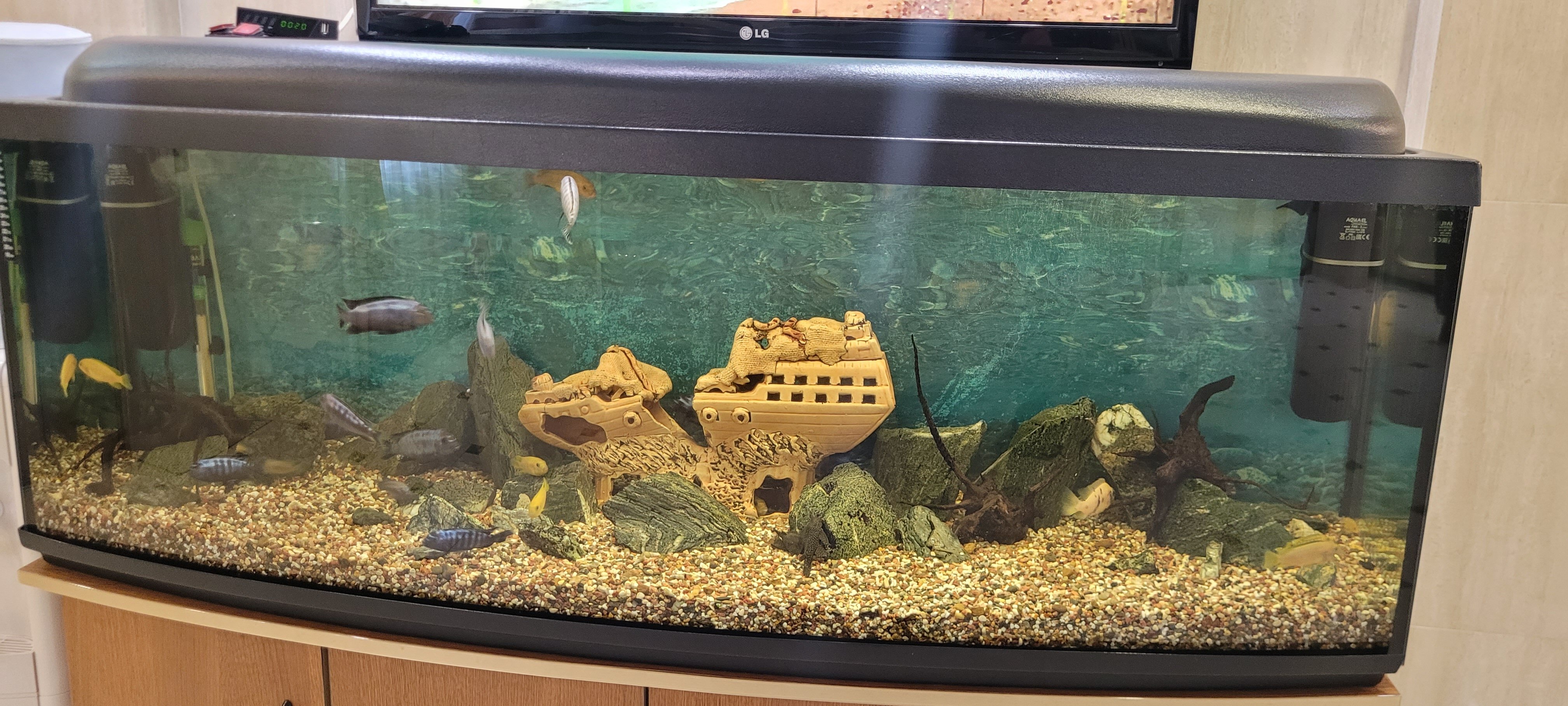 Фото Новый век