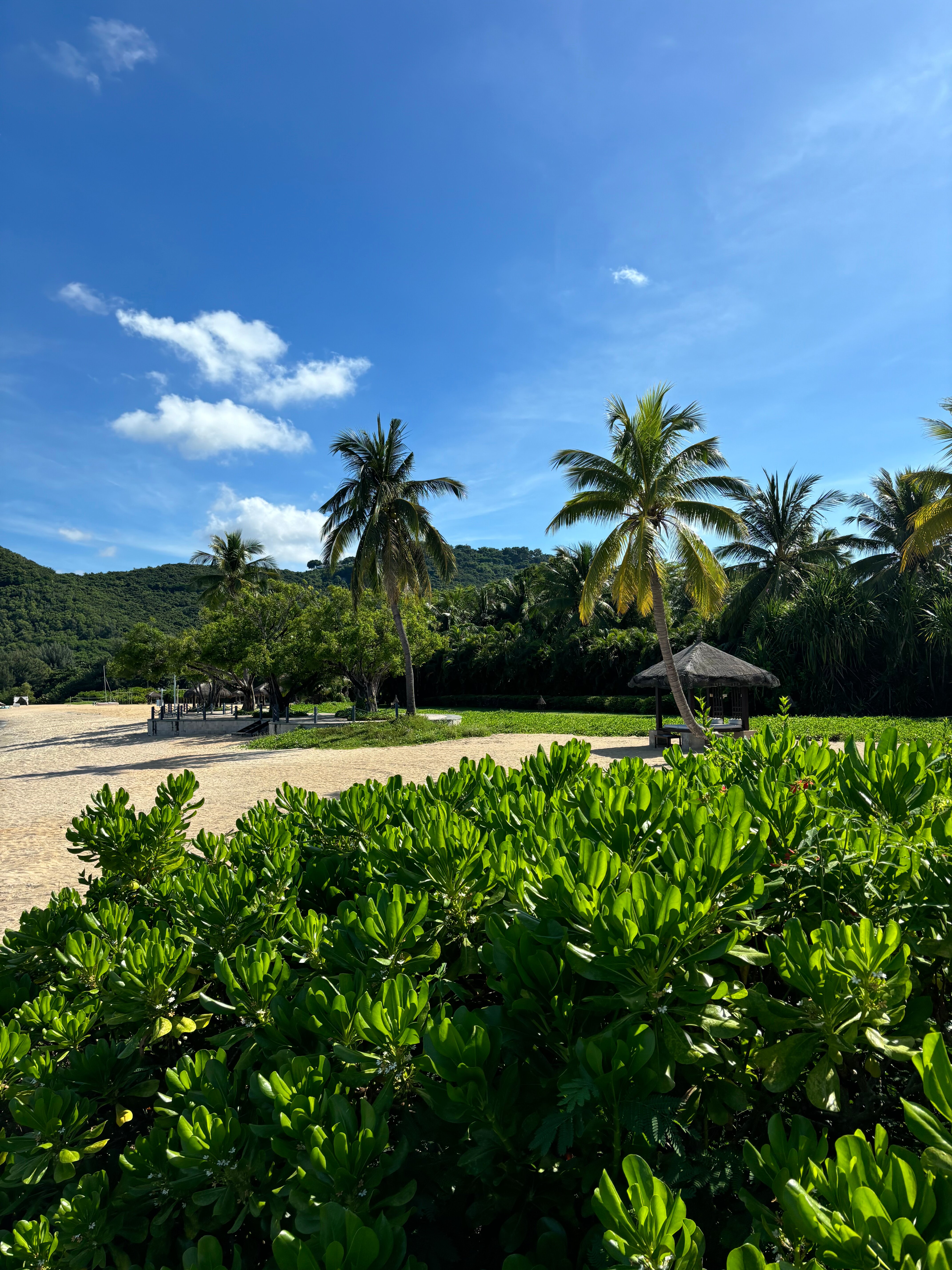 Фото Luhuitou Sanya Resort