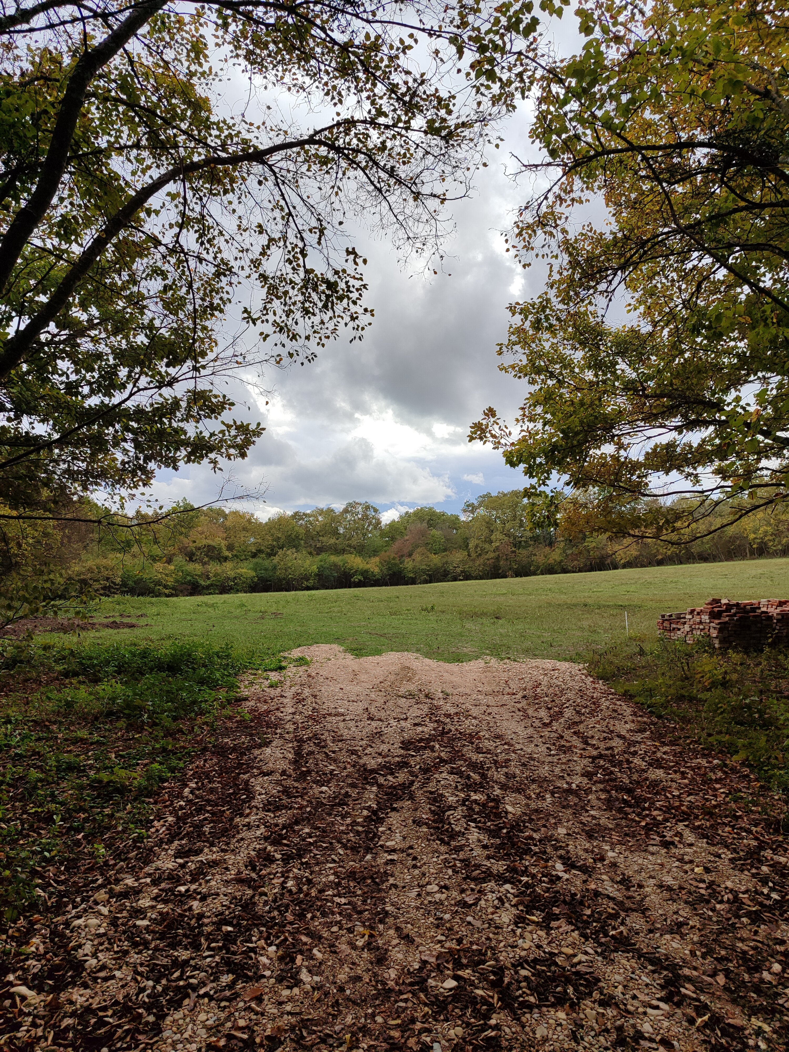 Фото Грушевая вода