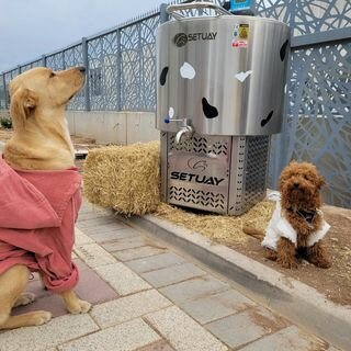 Dairy products shop Setuay Milk Cooling Tanks, Eskisehir, photo