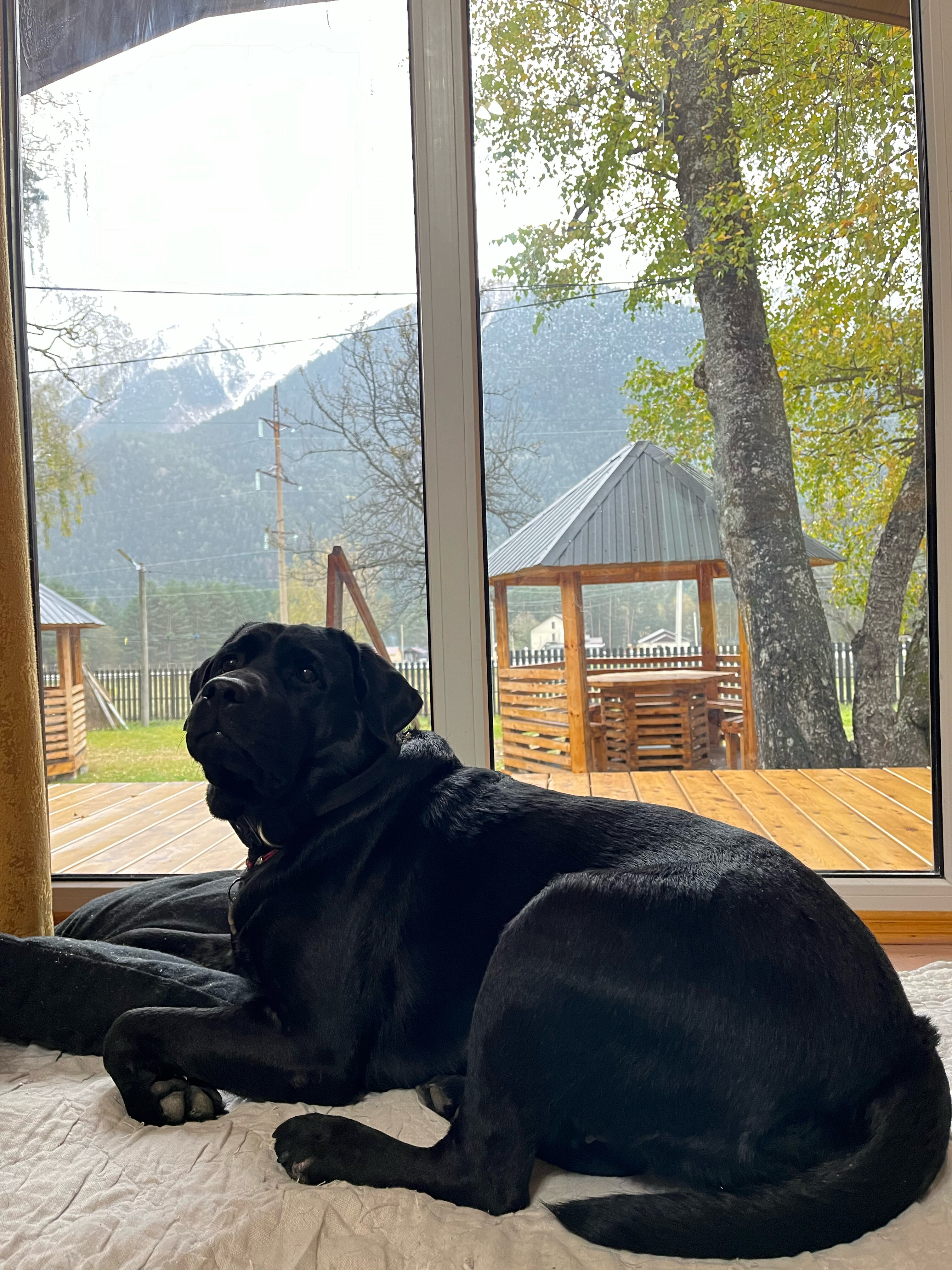 Фото Архыз и точка