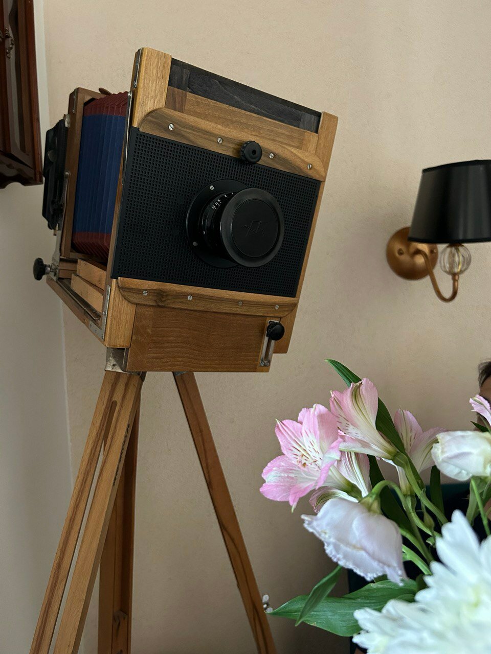 Фото Моцарт