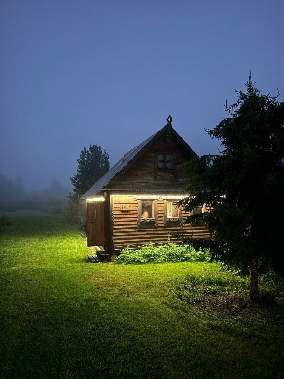 Фото Новые соседи