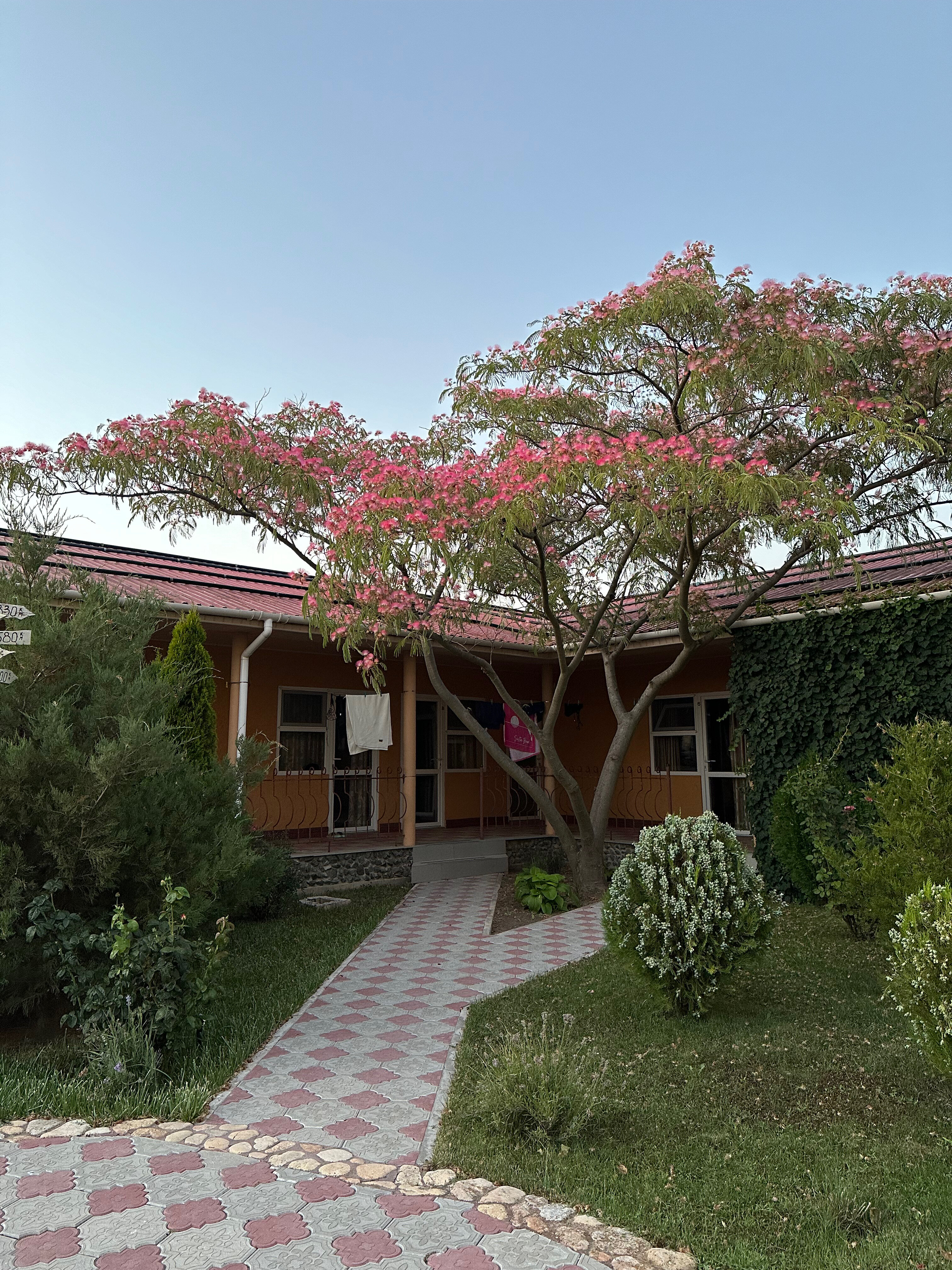 Фото Райский отдых