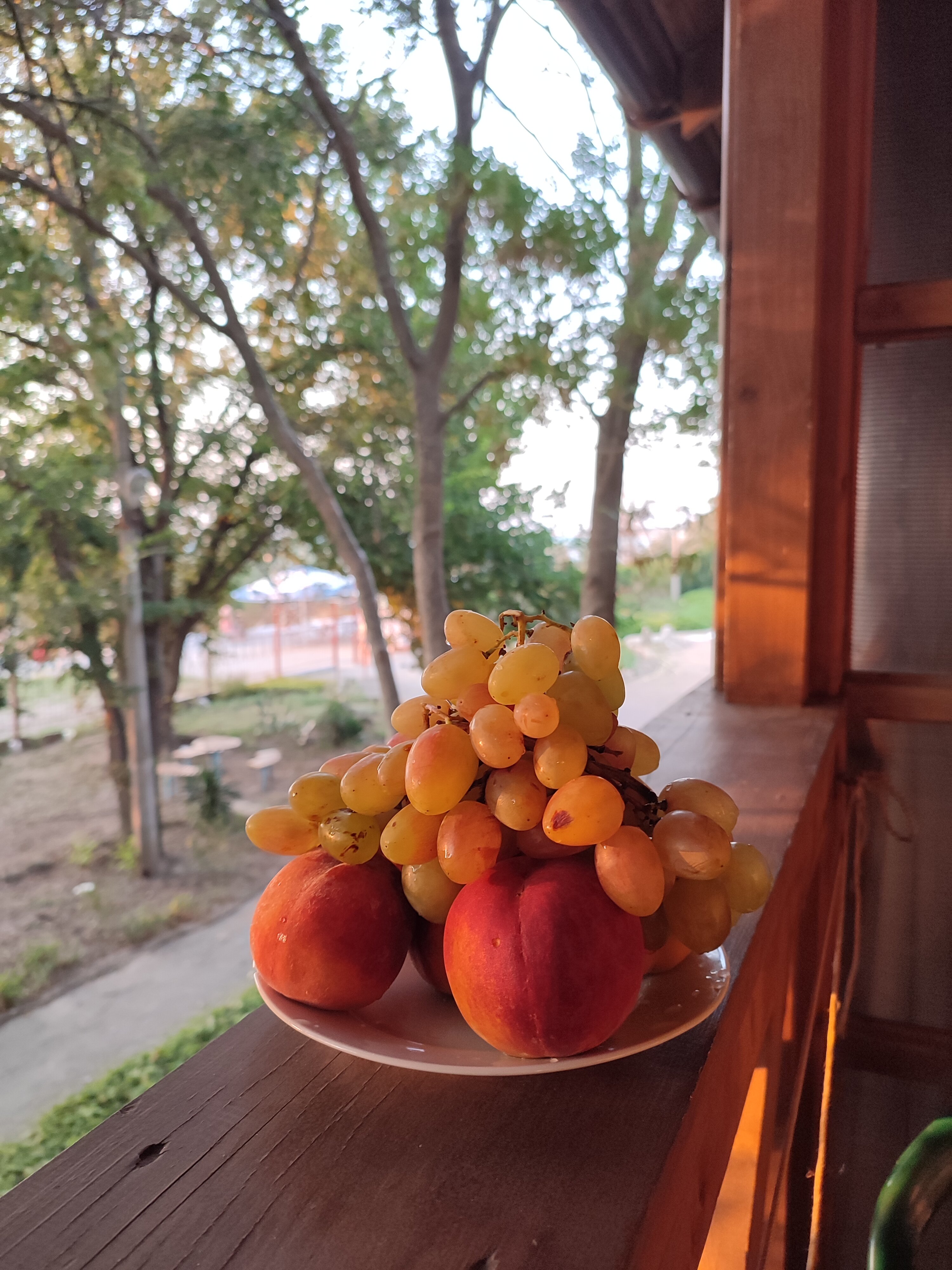 Фото Лагуна