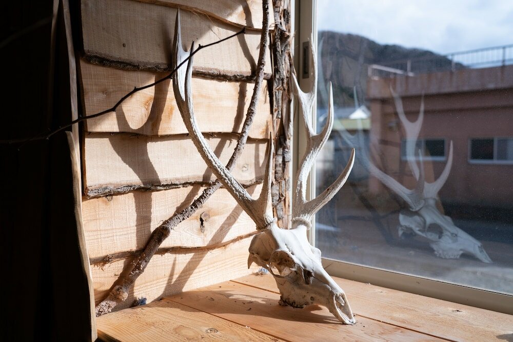 Фото Lodge Mondo - Hostel