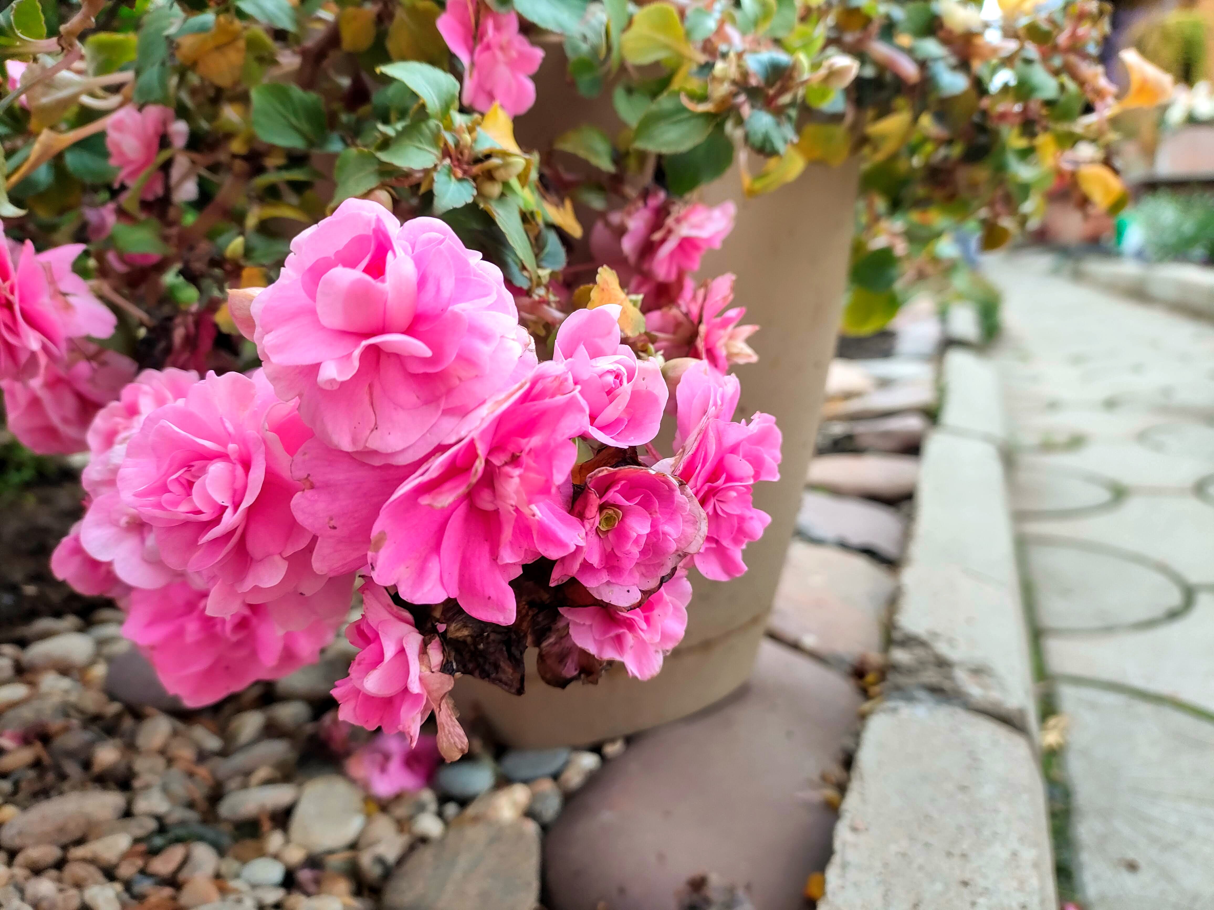 Фото Байкал Делайт