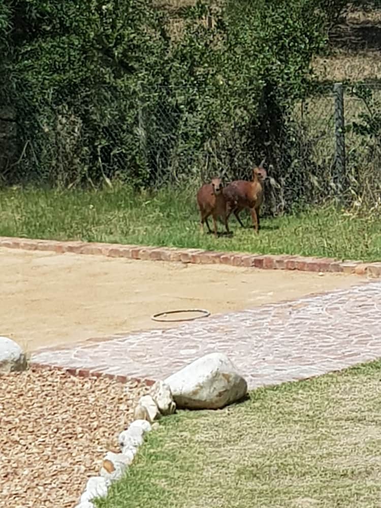 Фото Sandmartins