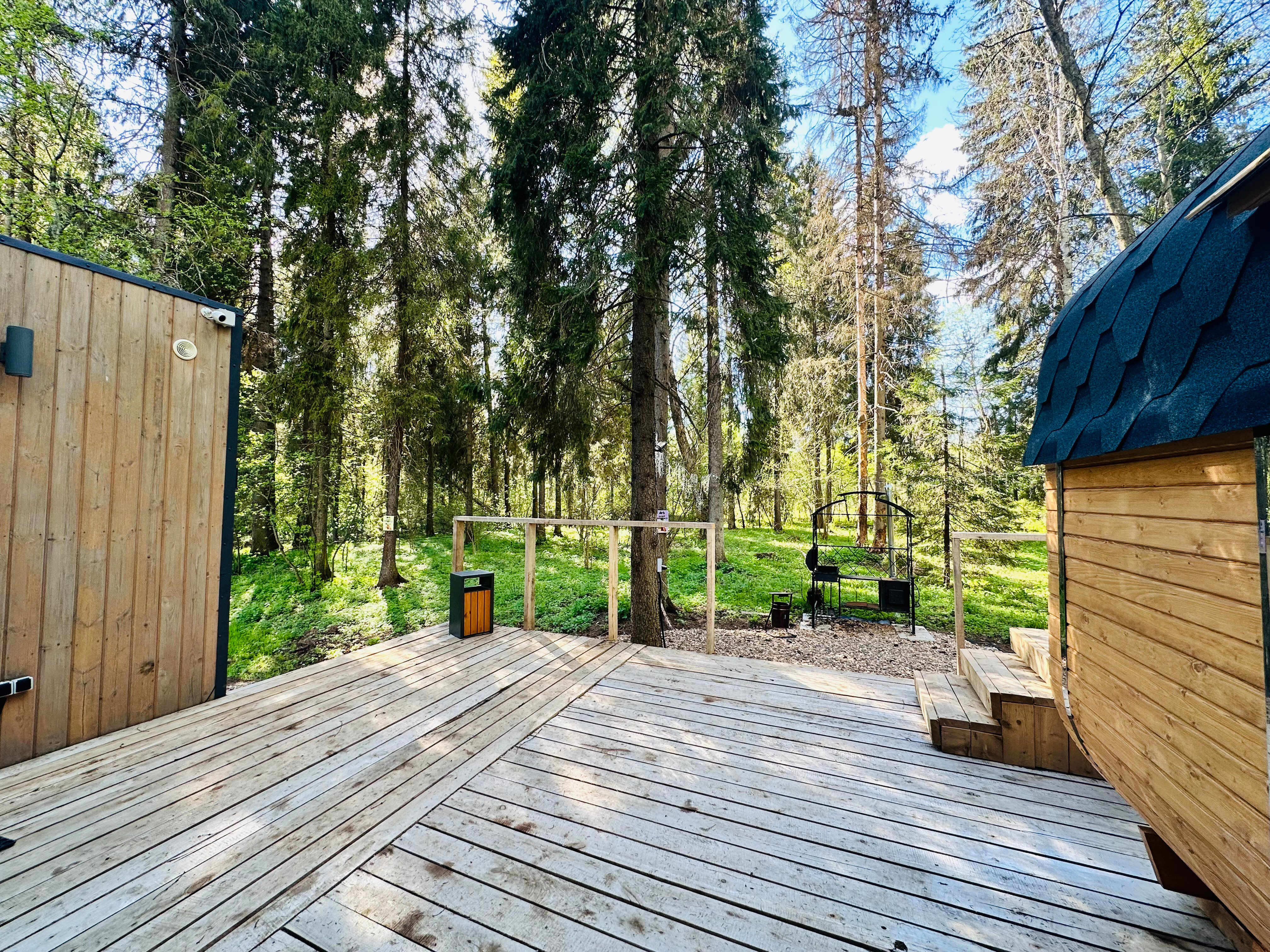 Фото Лесная тропа