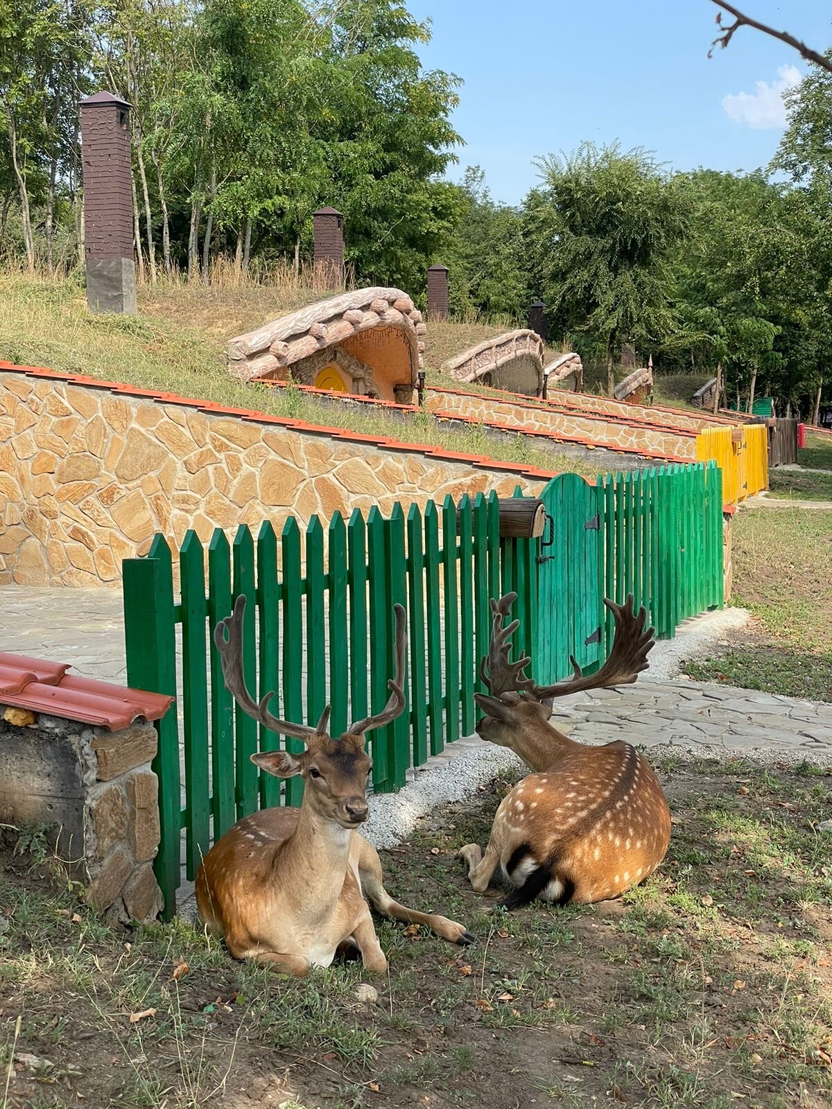 Фото Оленья ферма