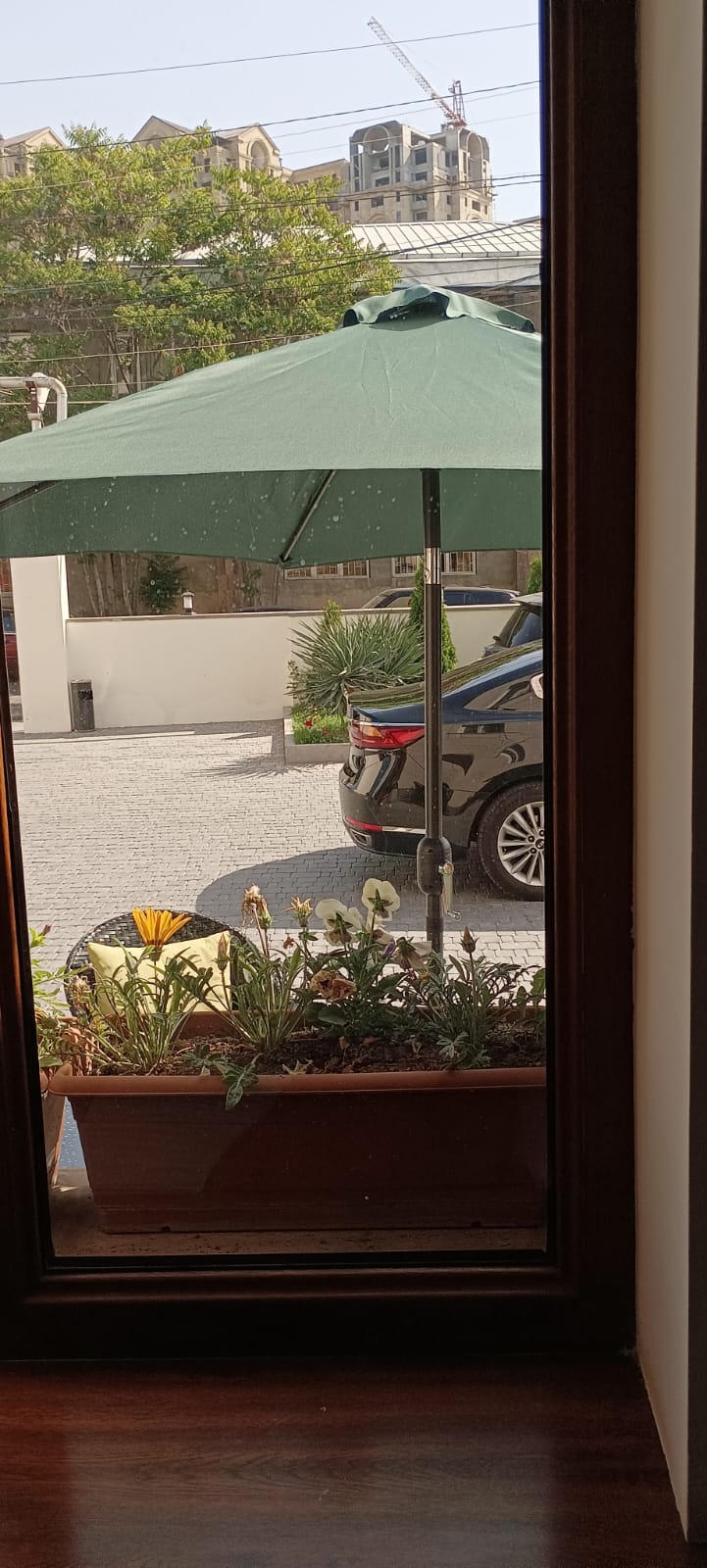 Фото Grand Fortune