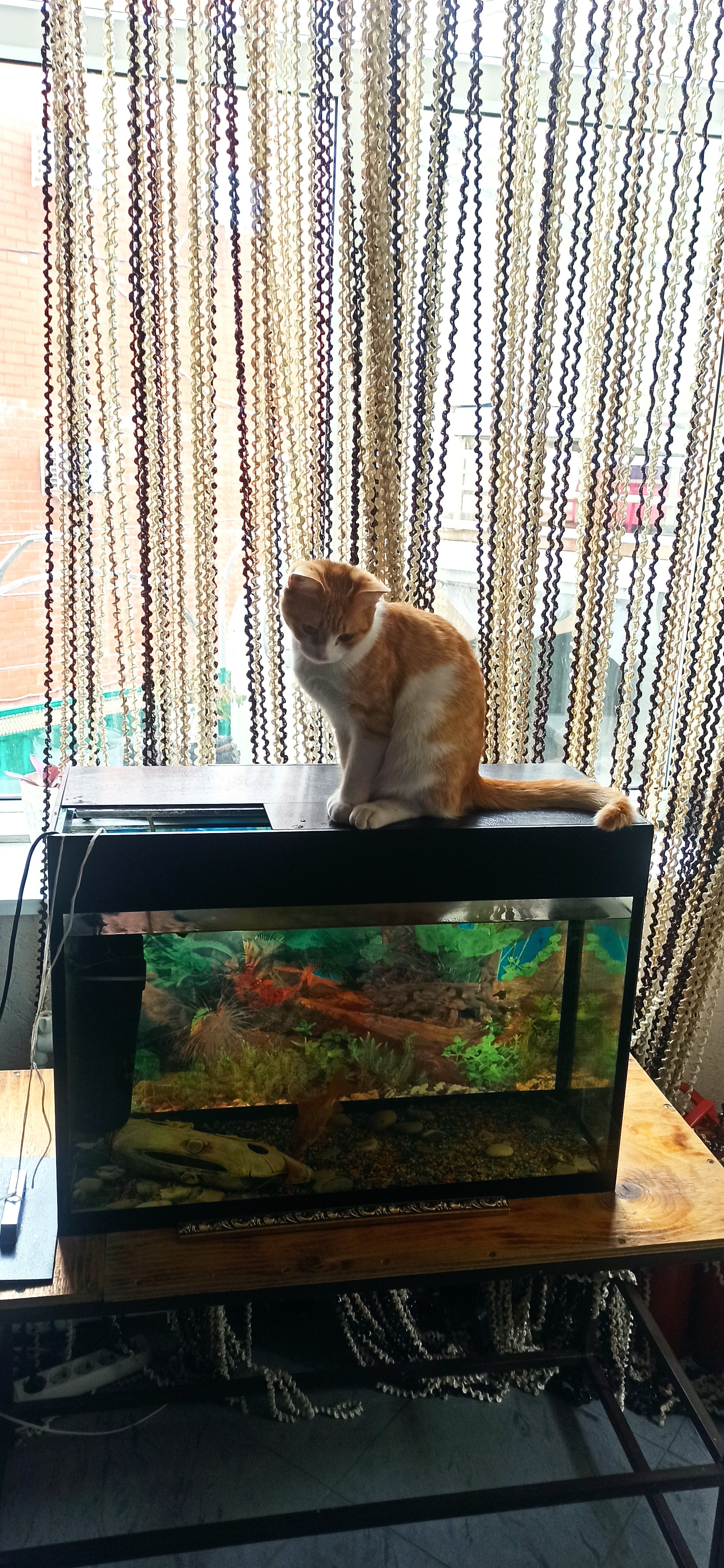 Фото Изумруд