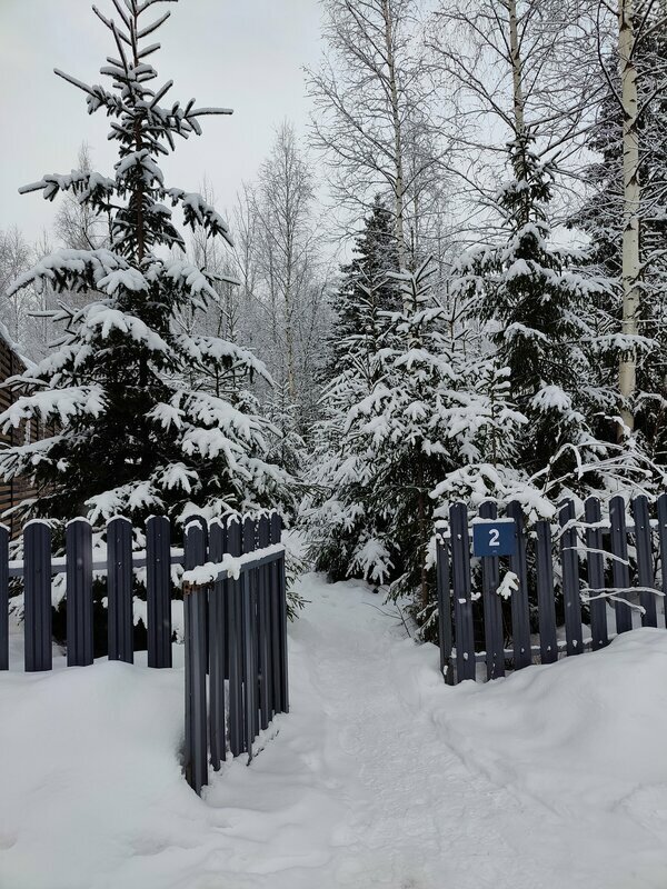 Фото Ёlki Черемыкино