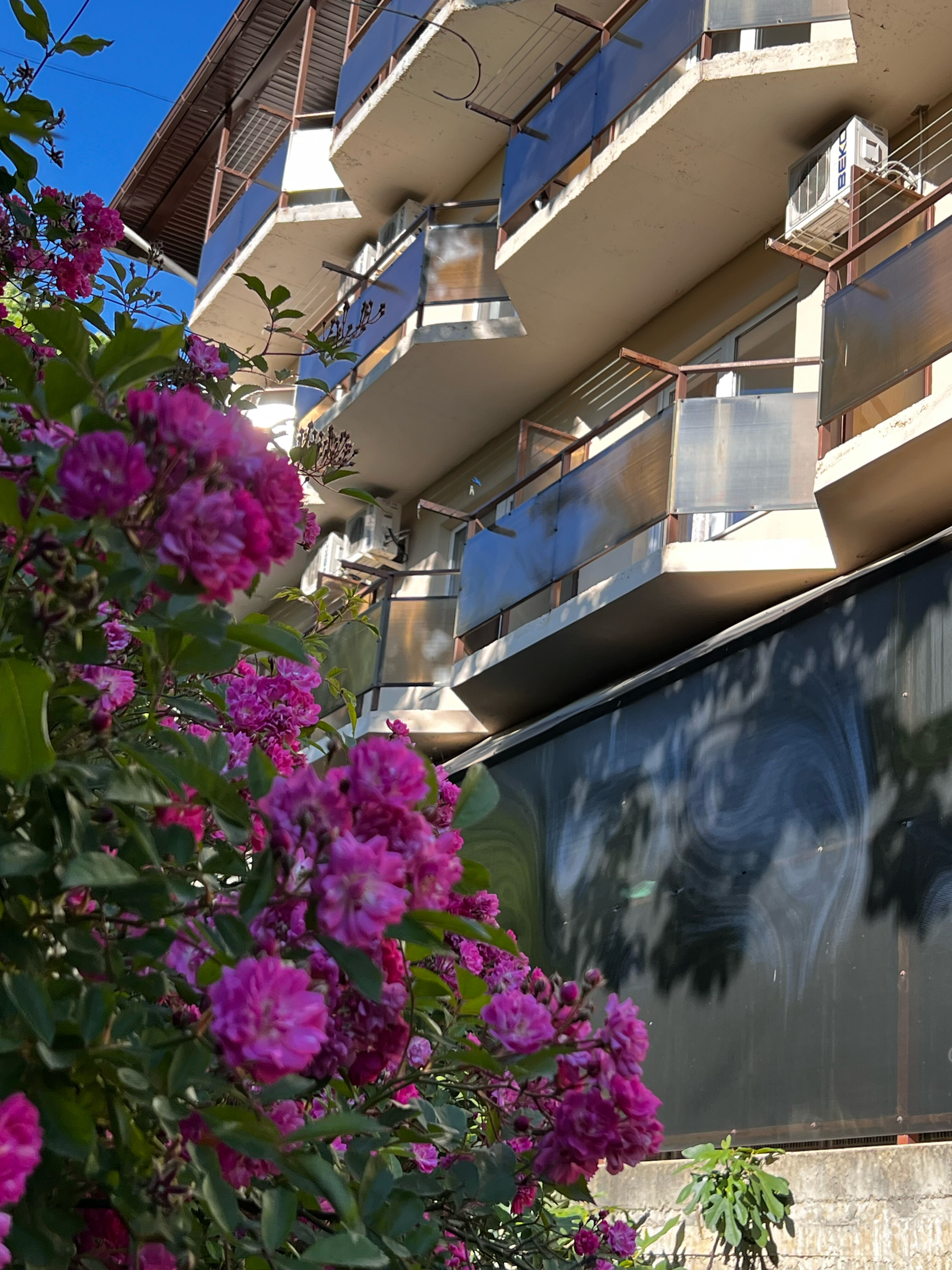 Фото Самотлор центр