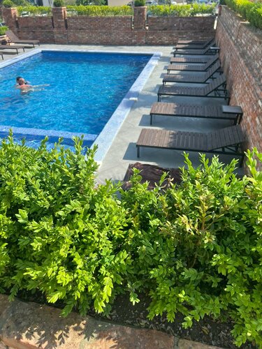 Гостиница Loft в Новом Афоне