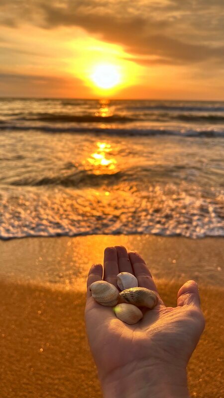 Sunrise — фото 7