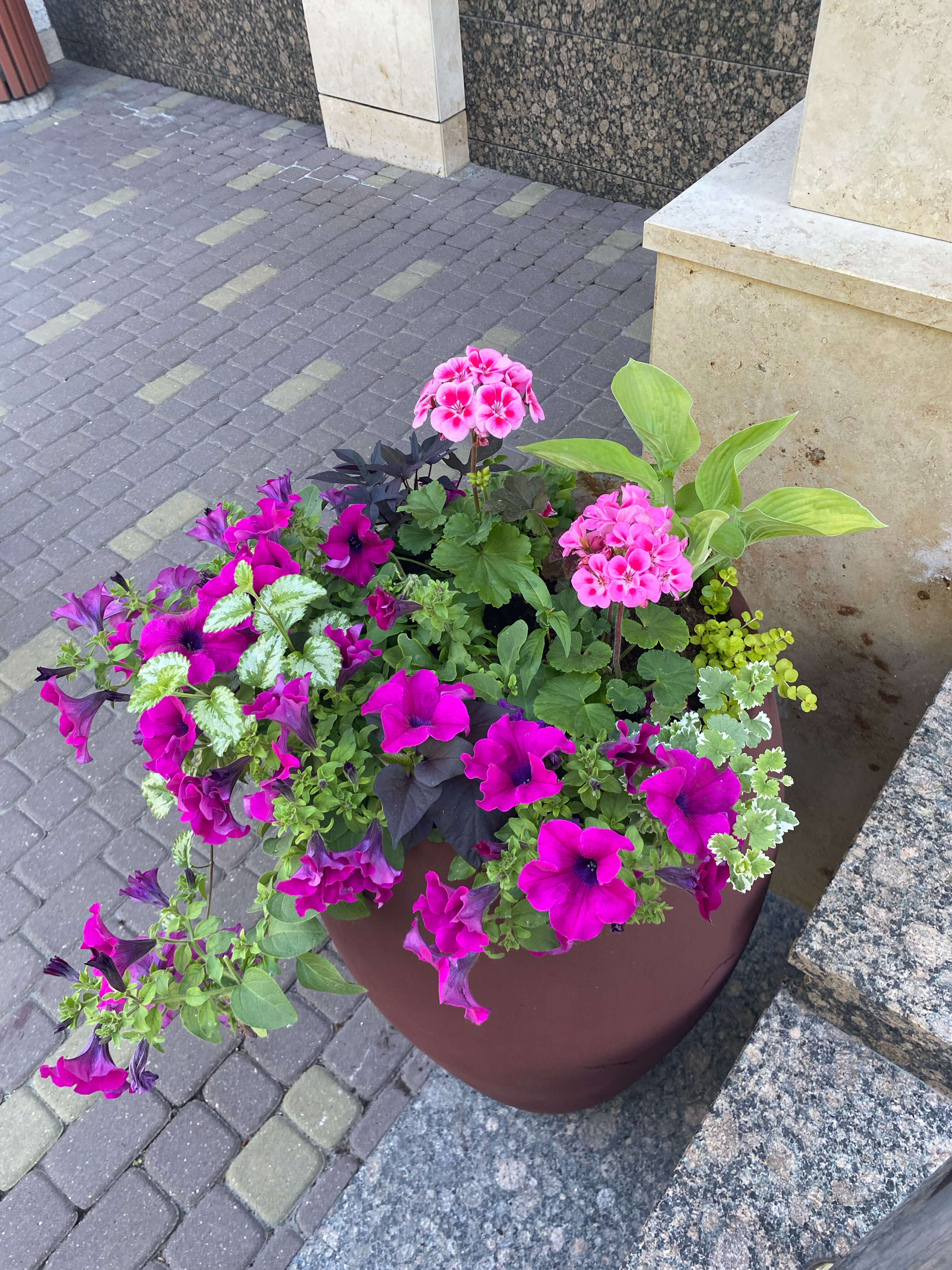 Фото Полонез