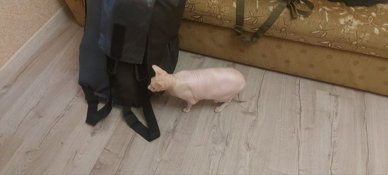 Фото АнжеликА