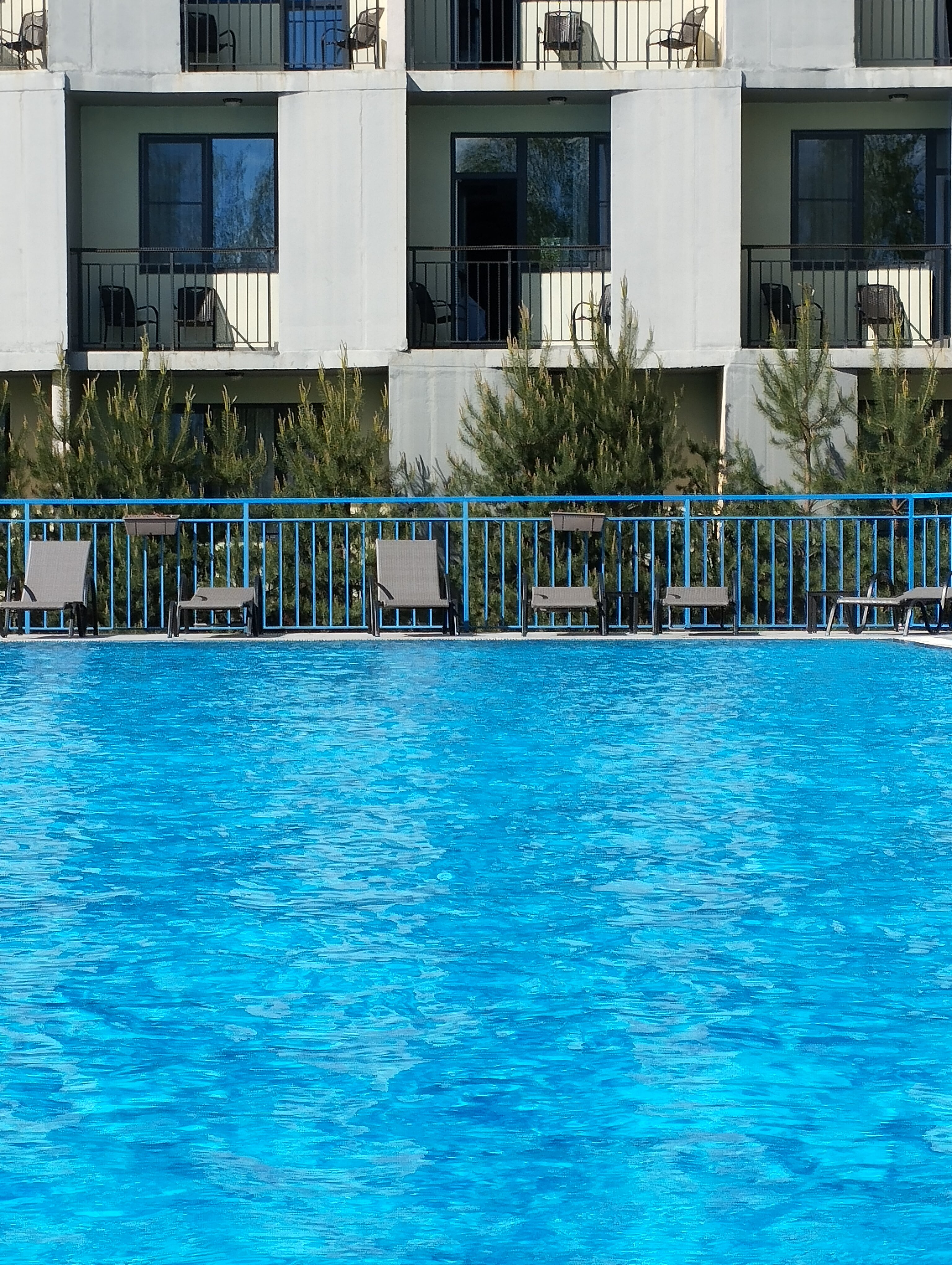 Фото Свежий ветер