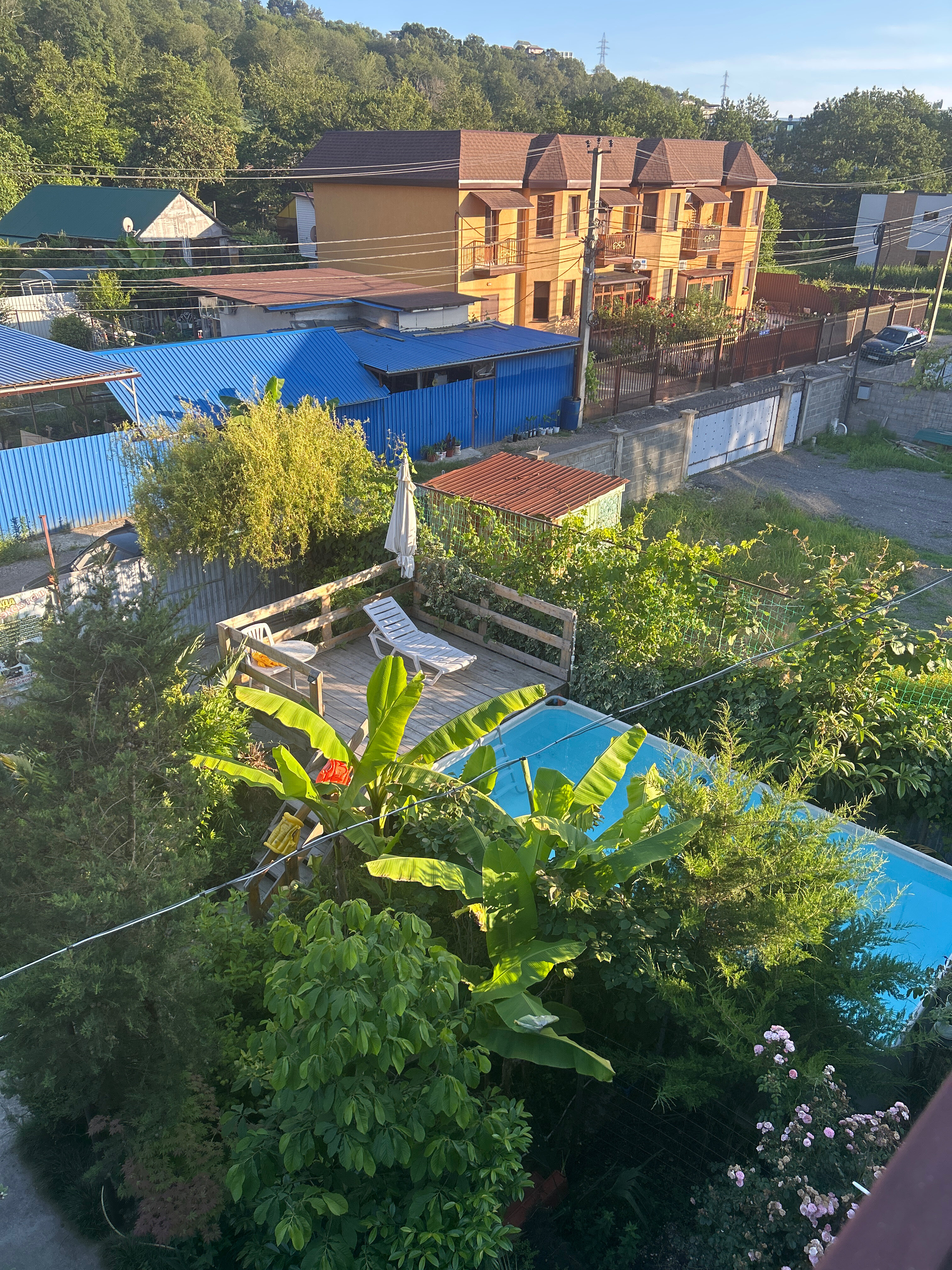 Фото АквариумЛоо