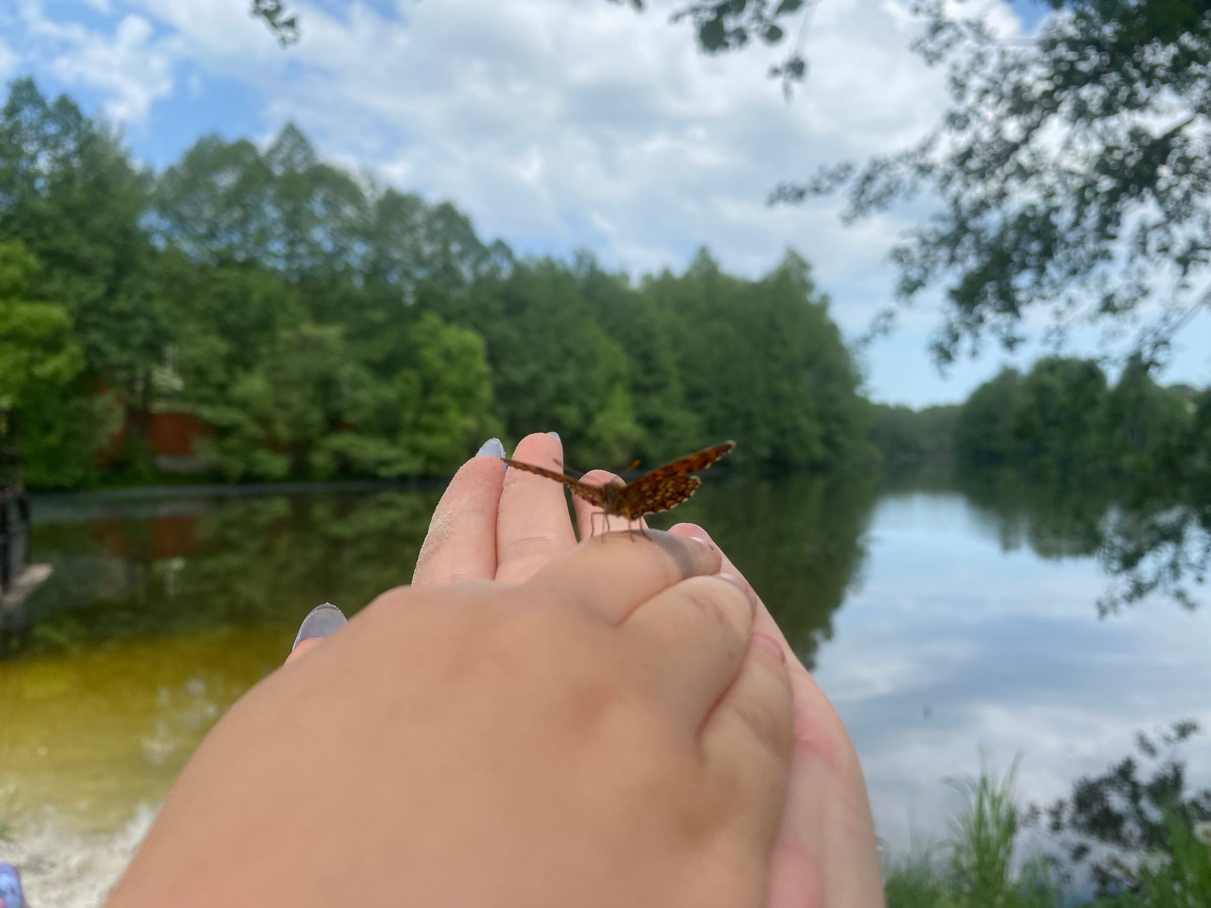 Фото Bereza Country