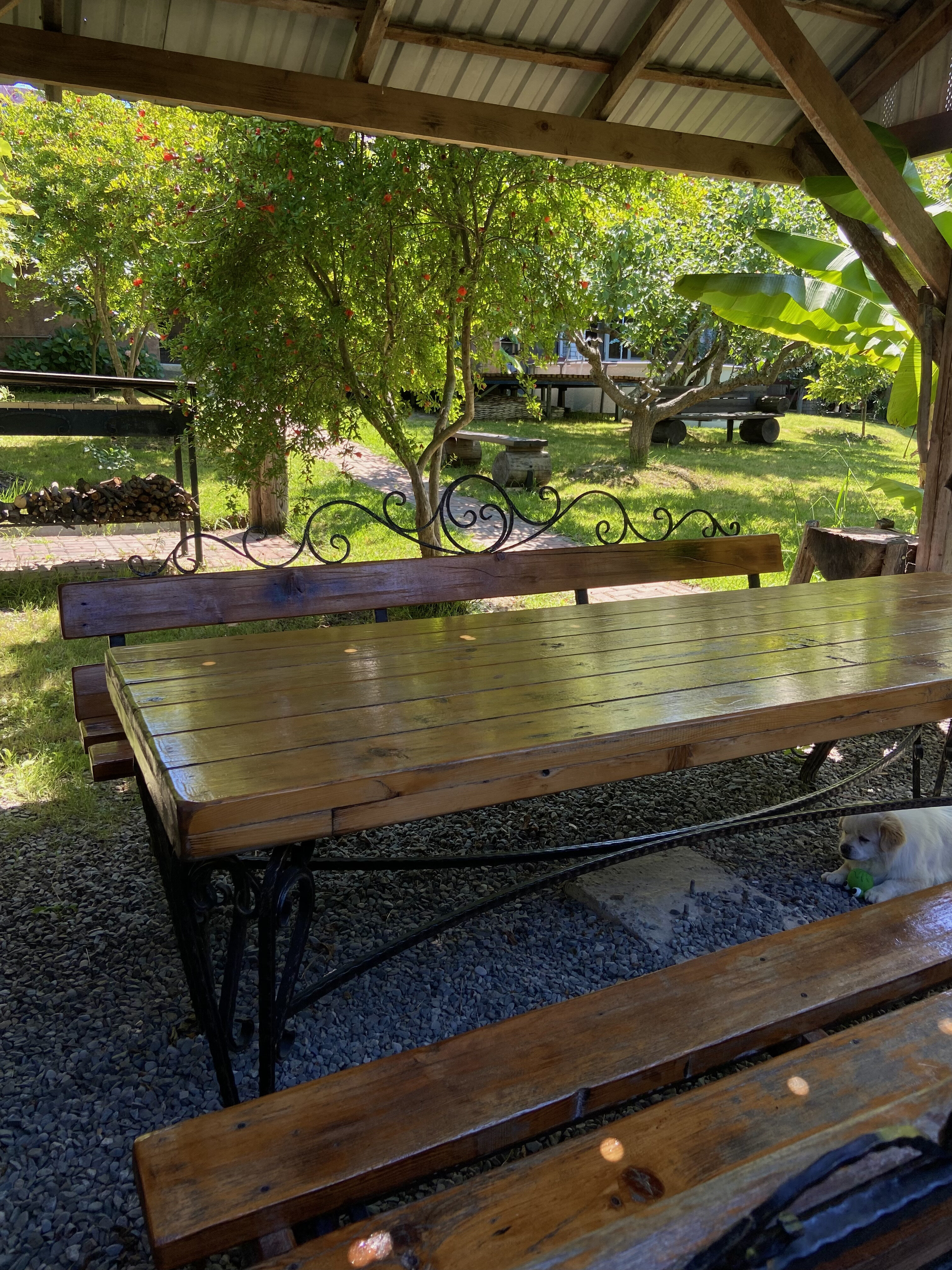 Фото Ласточкино Гнездо