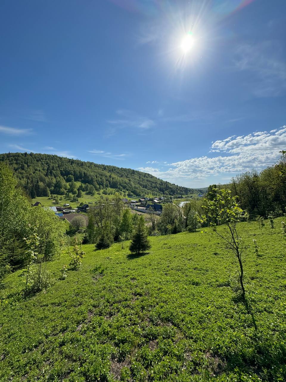 Фото Берег Сарвы