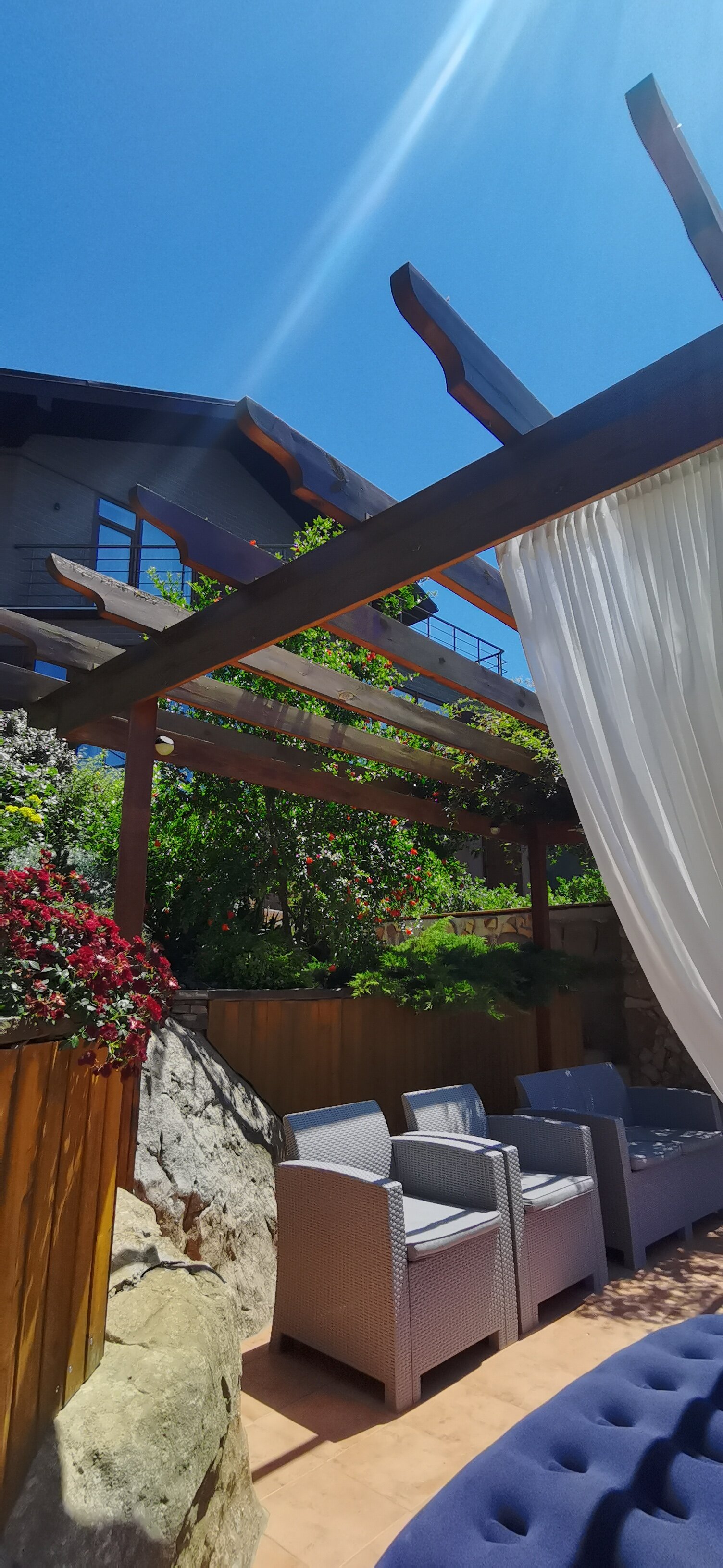 Фото Кипарис