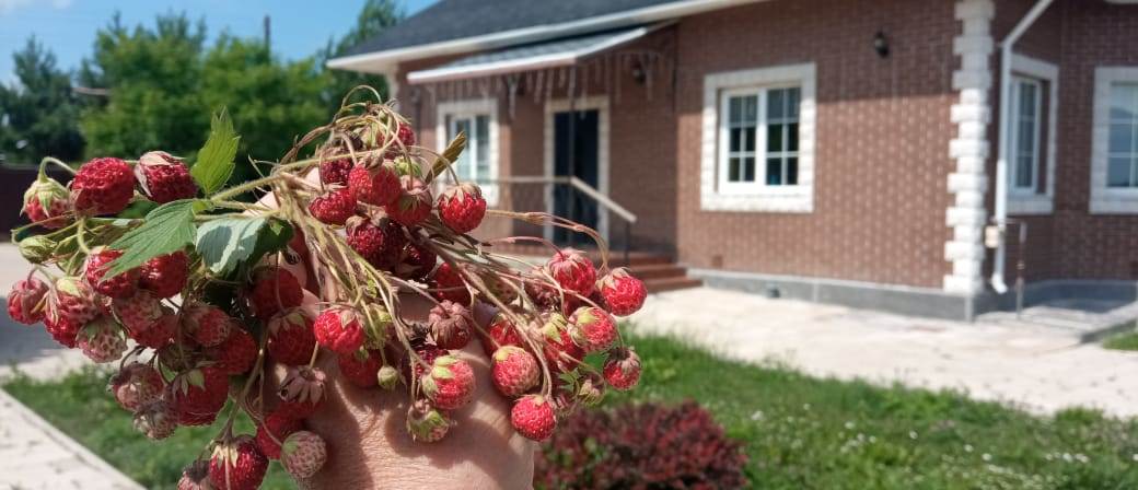 Фото Лунинские Просторы