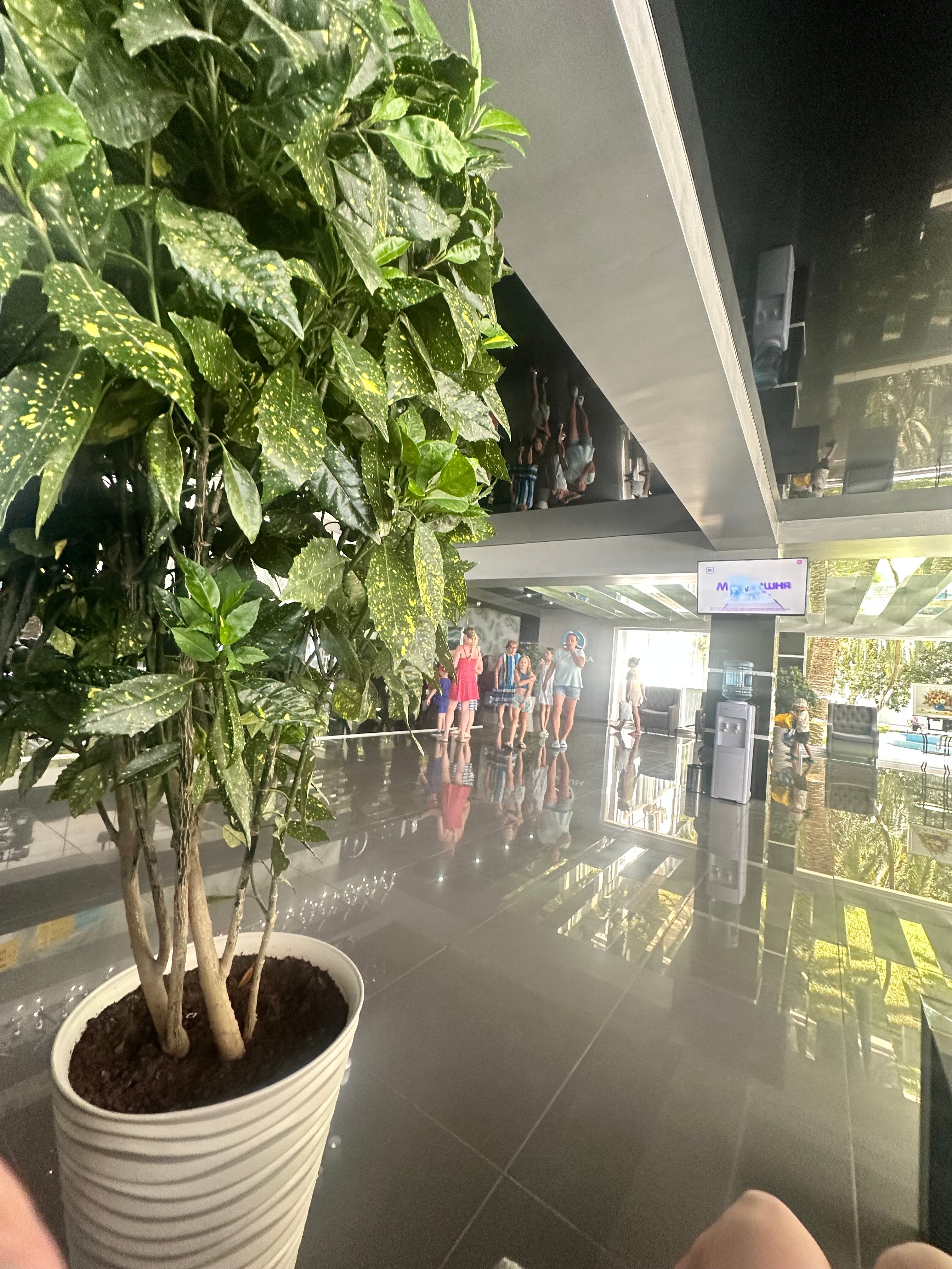 Фото Жоэквара