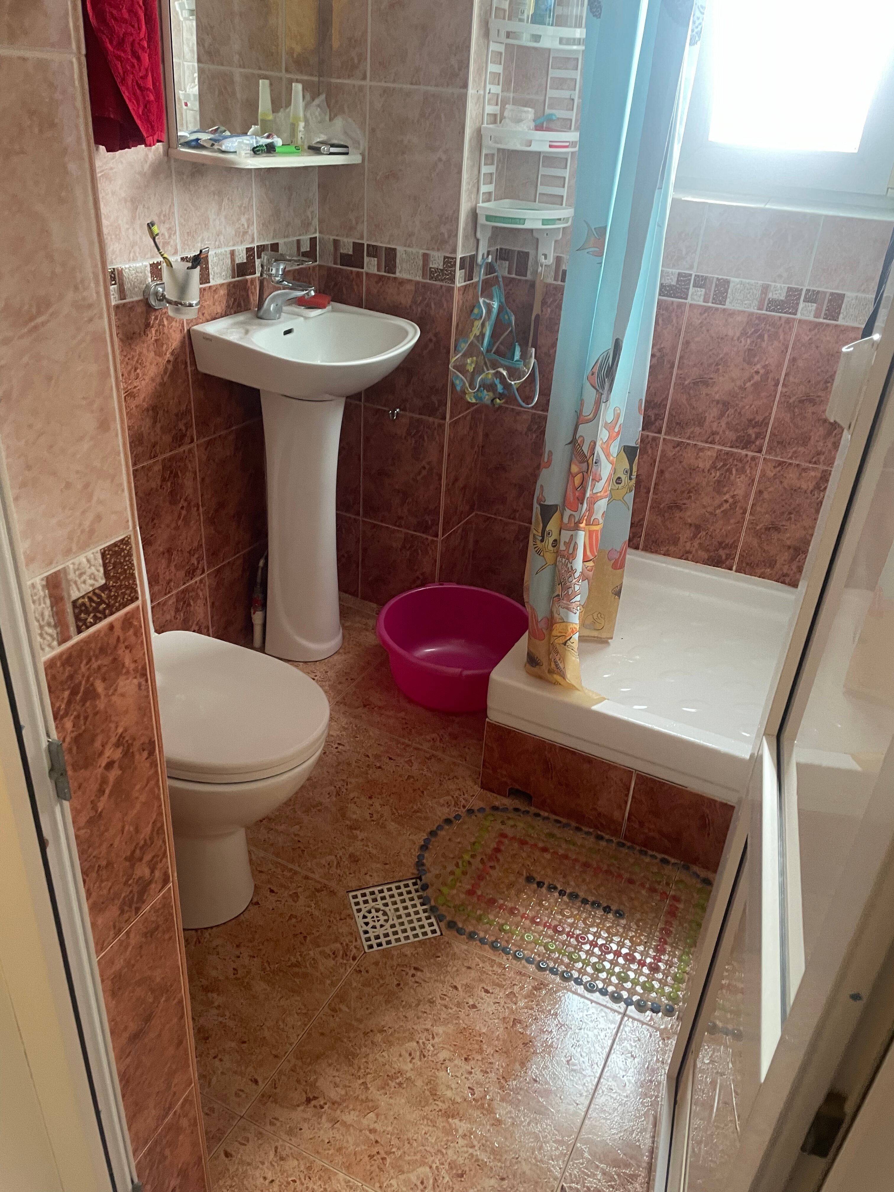 Фото Отдых у Александра