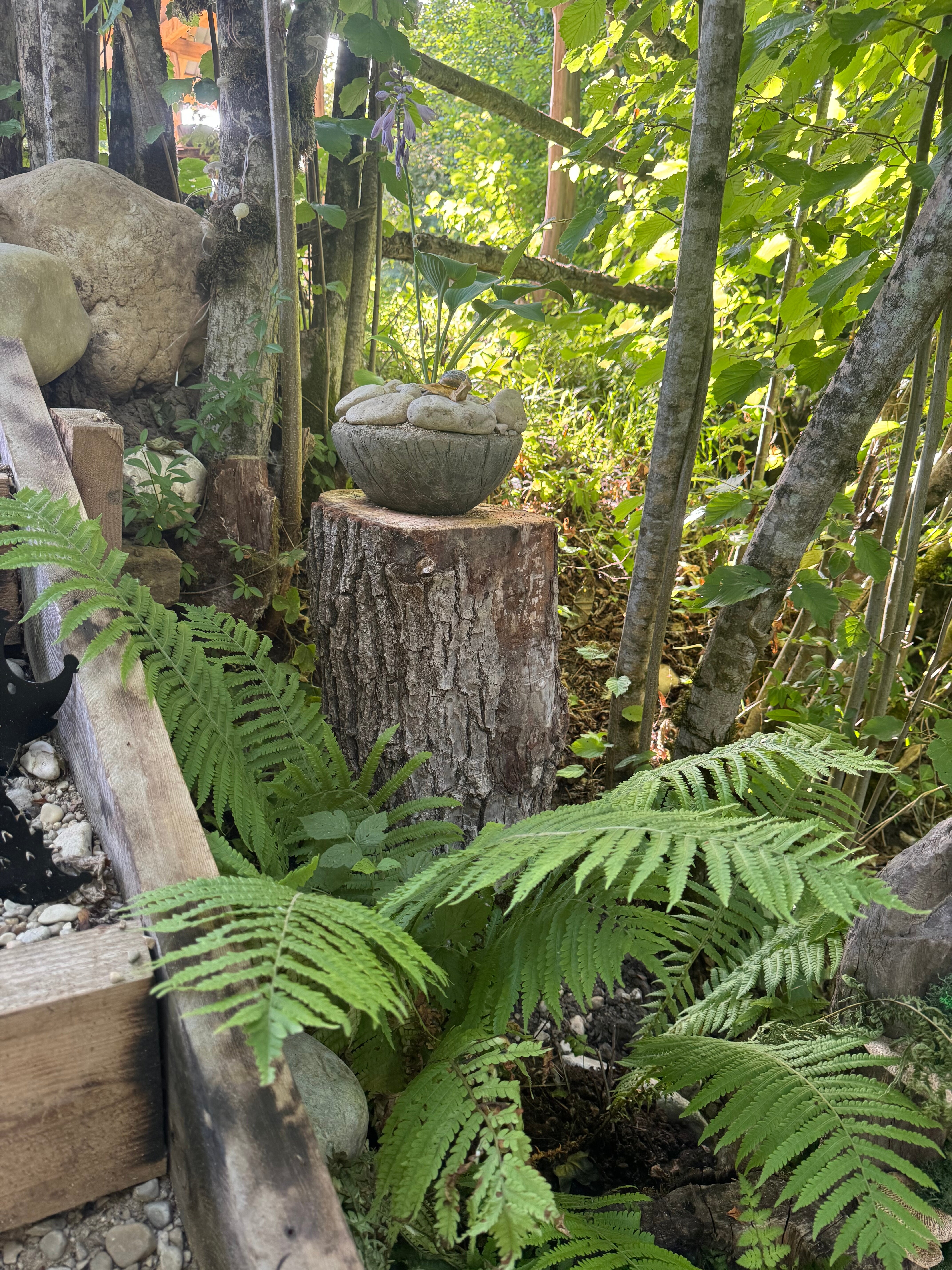 Фото Другой берег