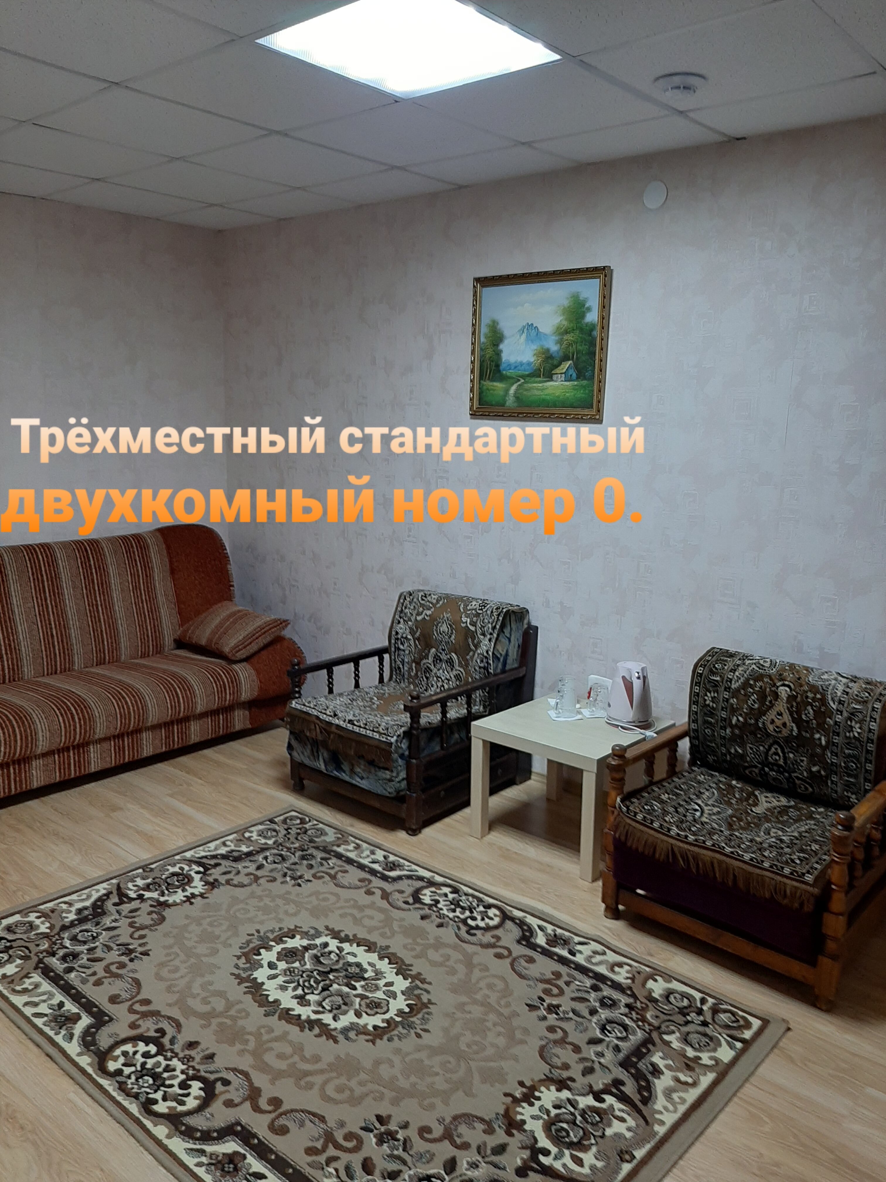 Фото Колибри